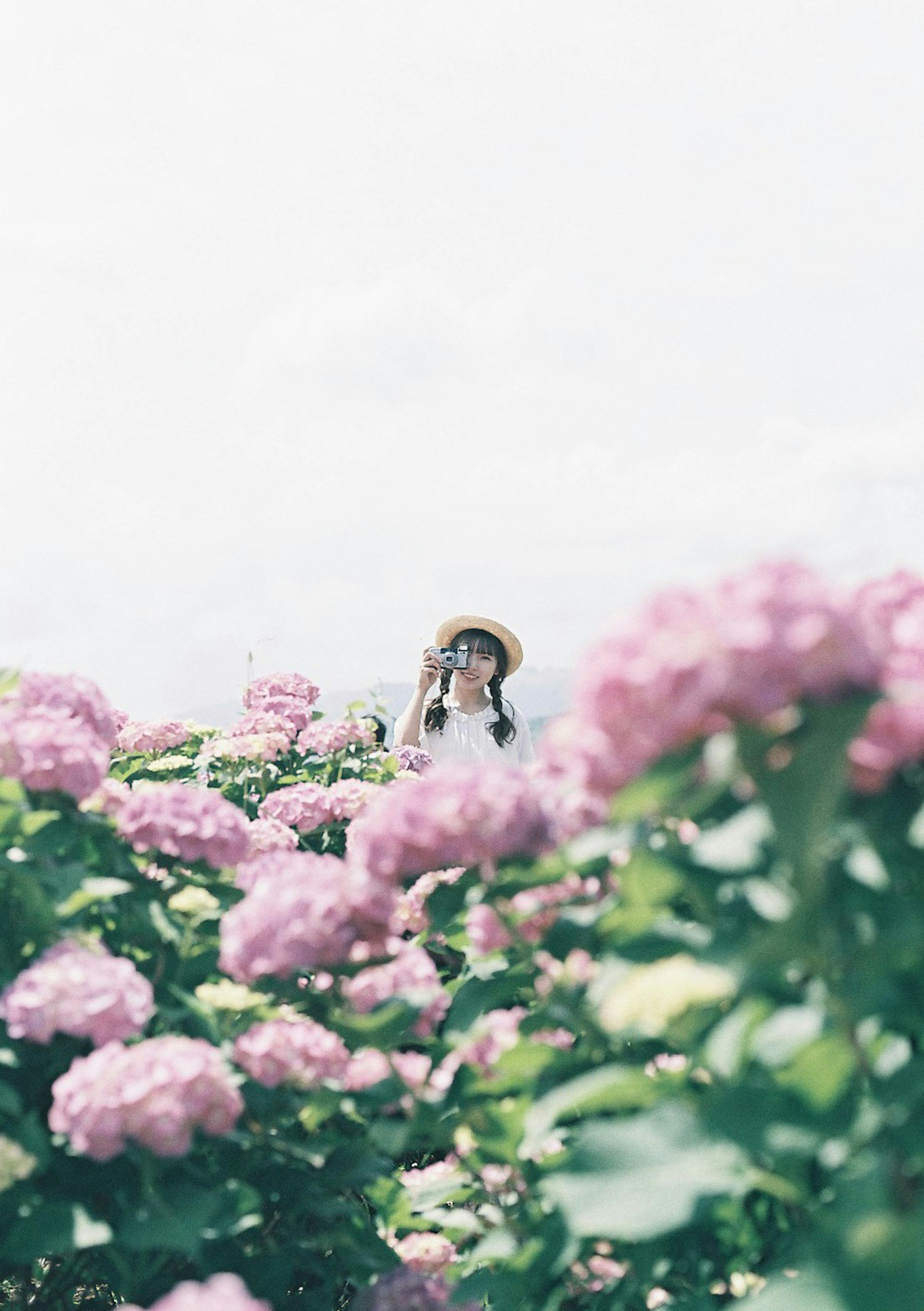 Una mujer de pie en un campo de hortensias rosas bajo un cielo brillante