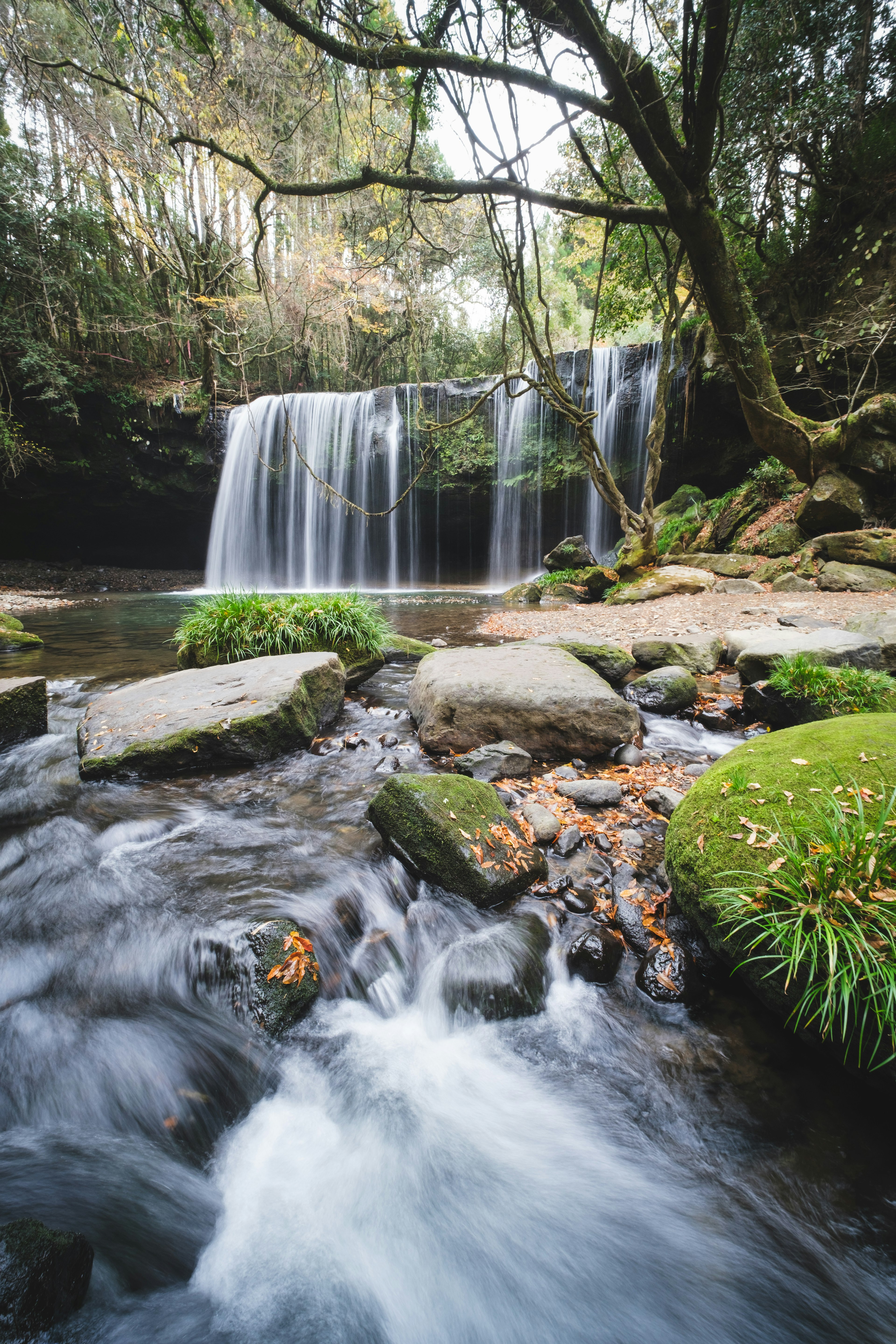 Air terjun tenang yang mengalir ke sungai berbatu dikelilingi oleh vegetasi subur