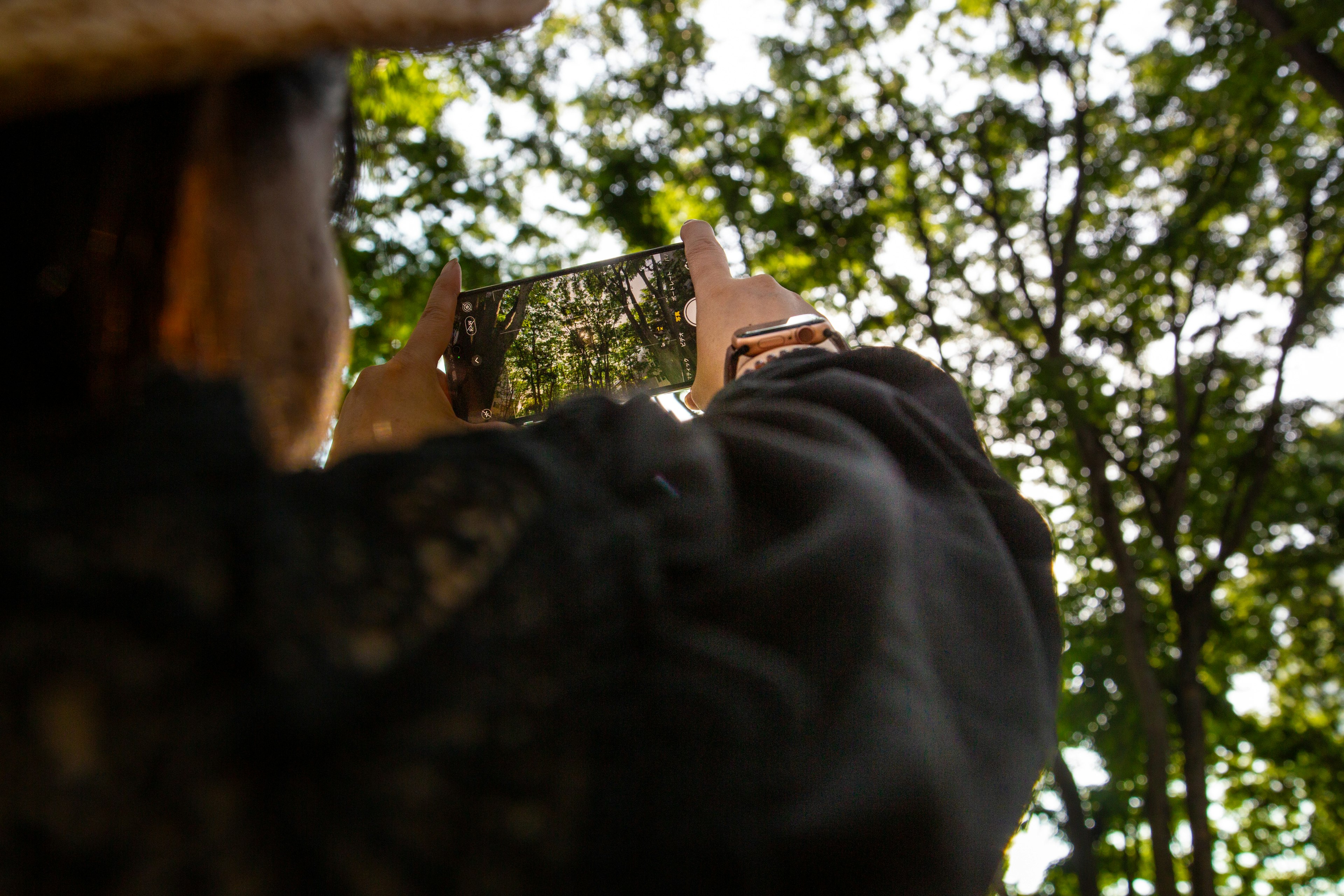 Eine Frau, die den Himmel durch die Bäume mit ihrem Smartphone aufnimmt