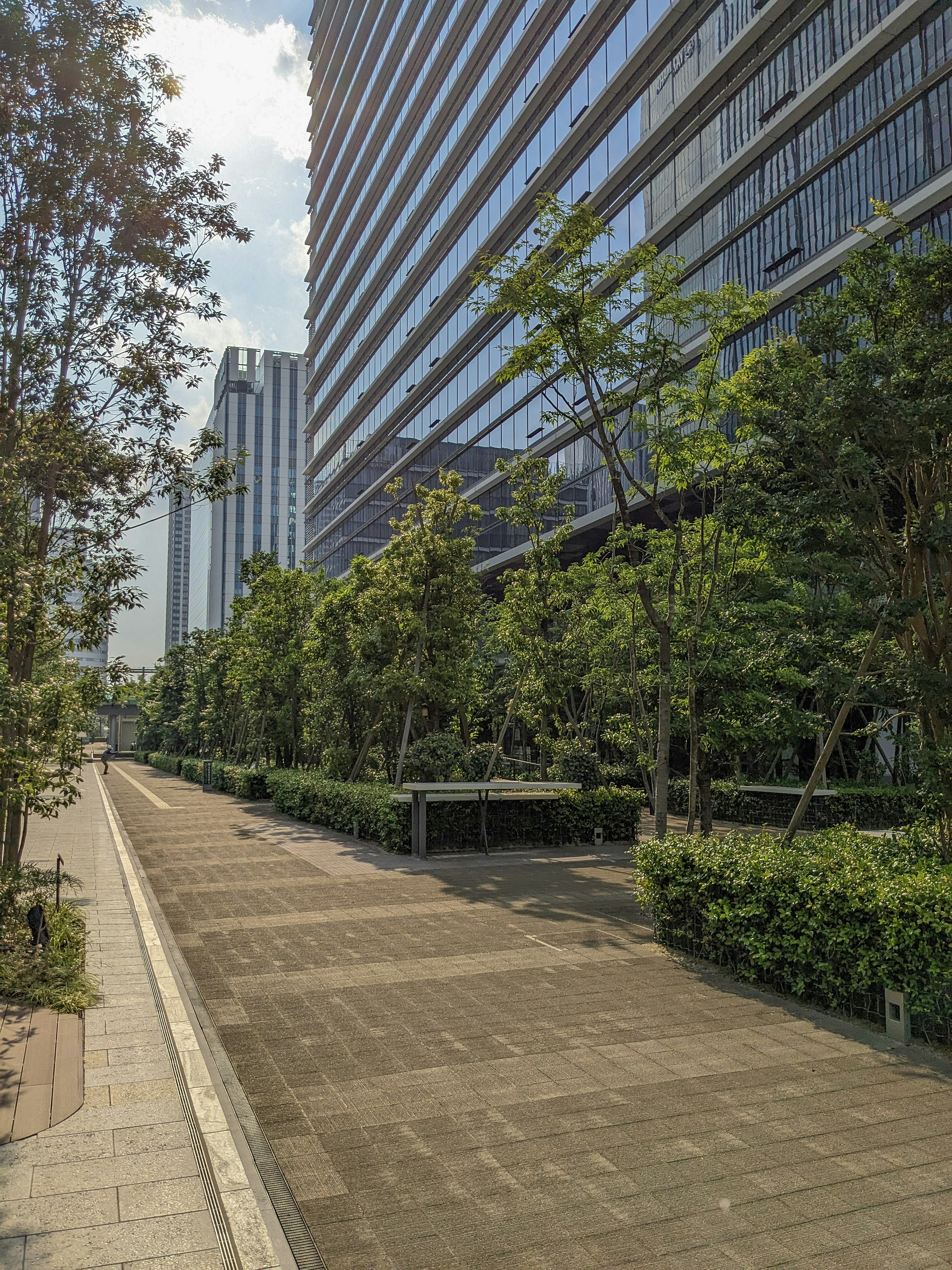 Vista escénica de un paseo arbolado rodeado de altos edificios