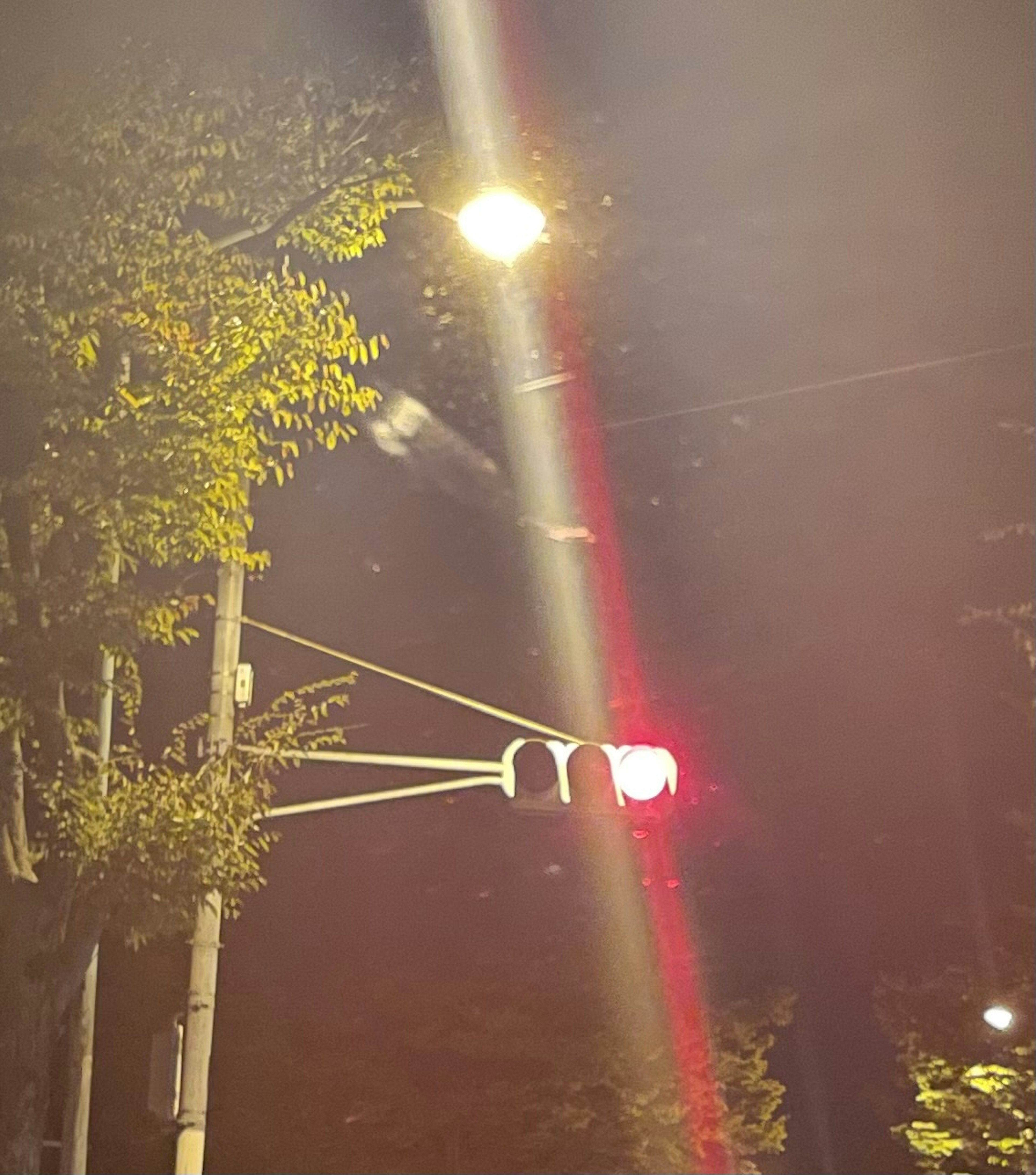 Red traffic light and street lamp at night