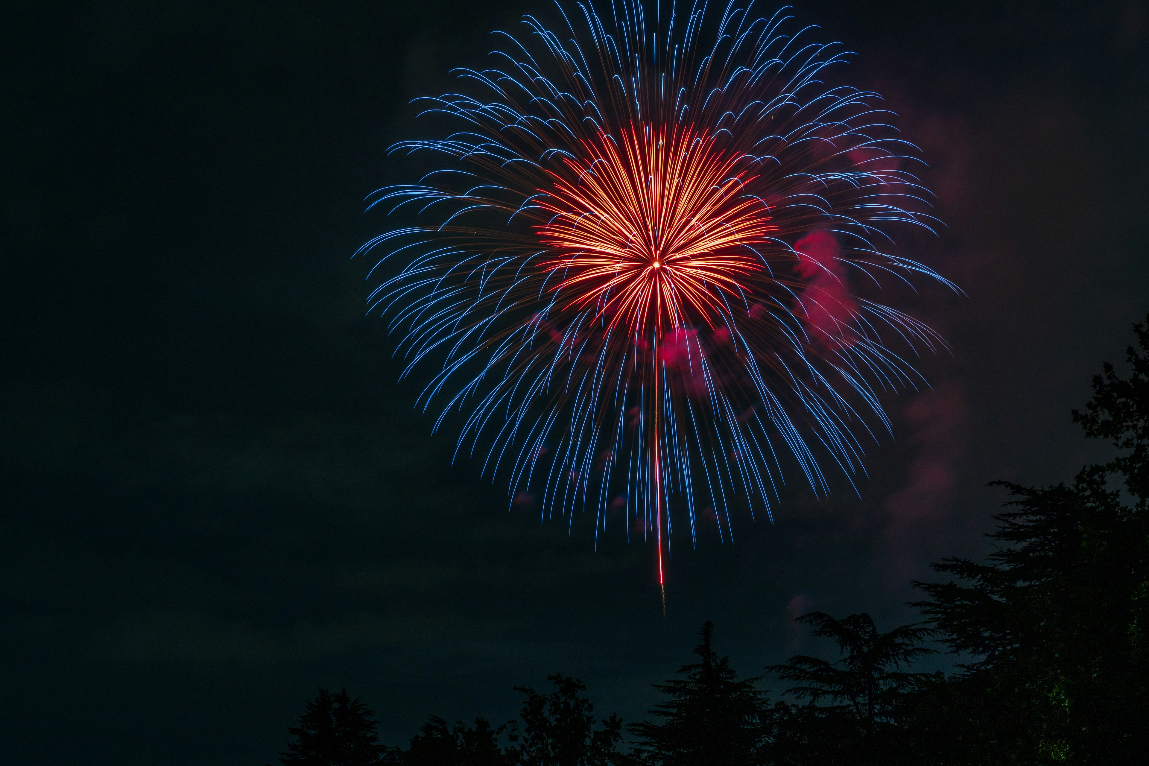 Bunte Explosion von Feuerwerken im Nachthimmel