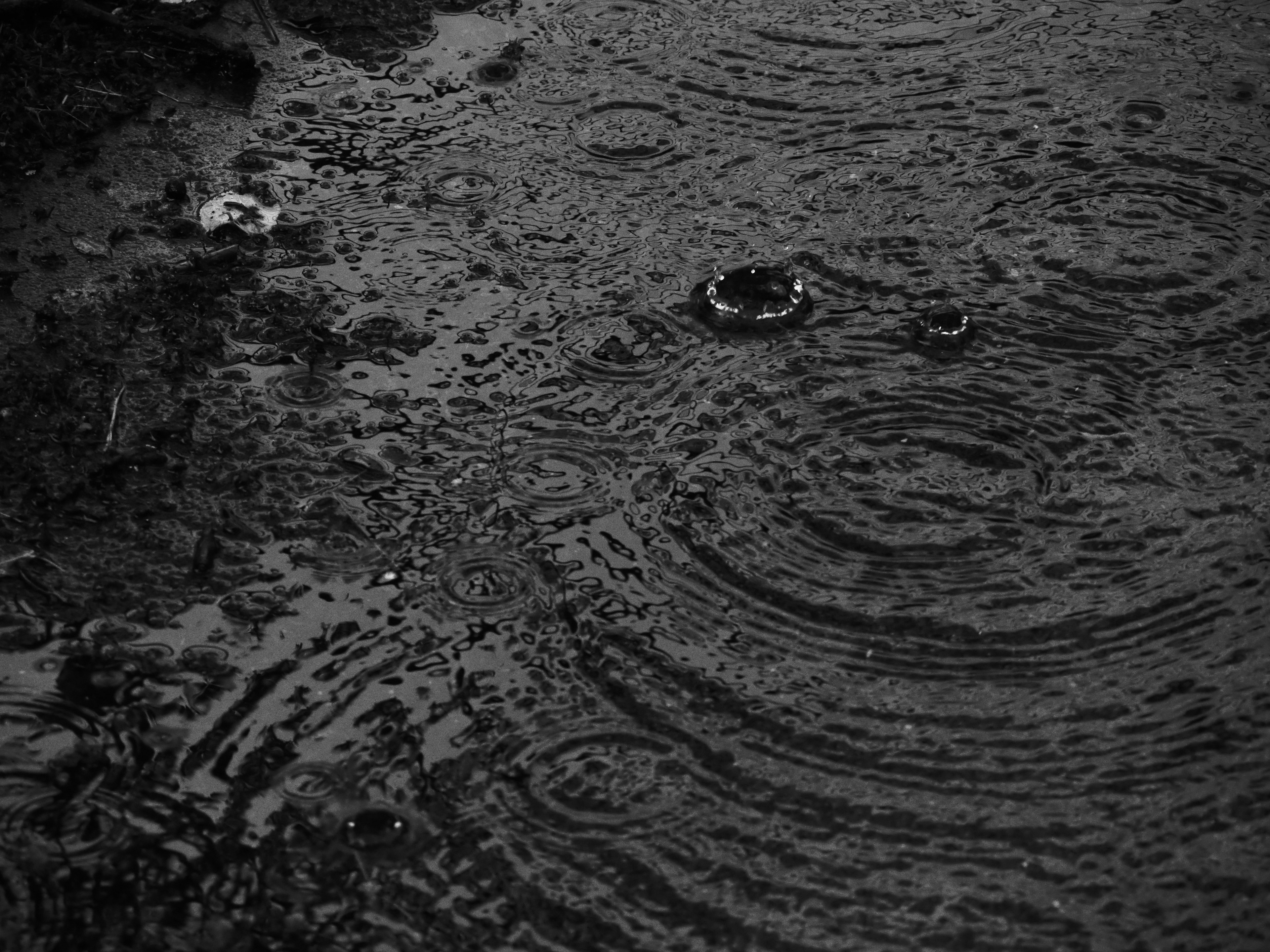 Black and white image of ripples spreading in a puddle from raindrops