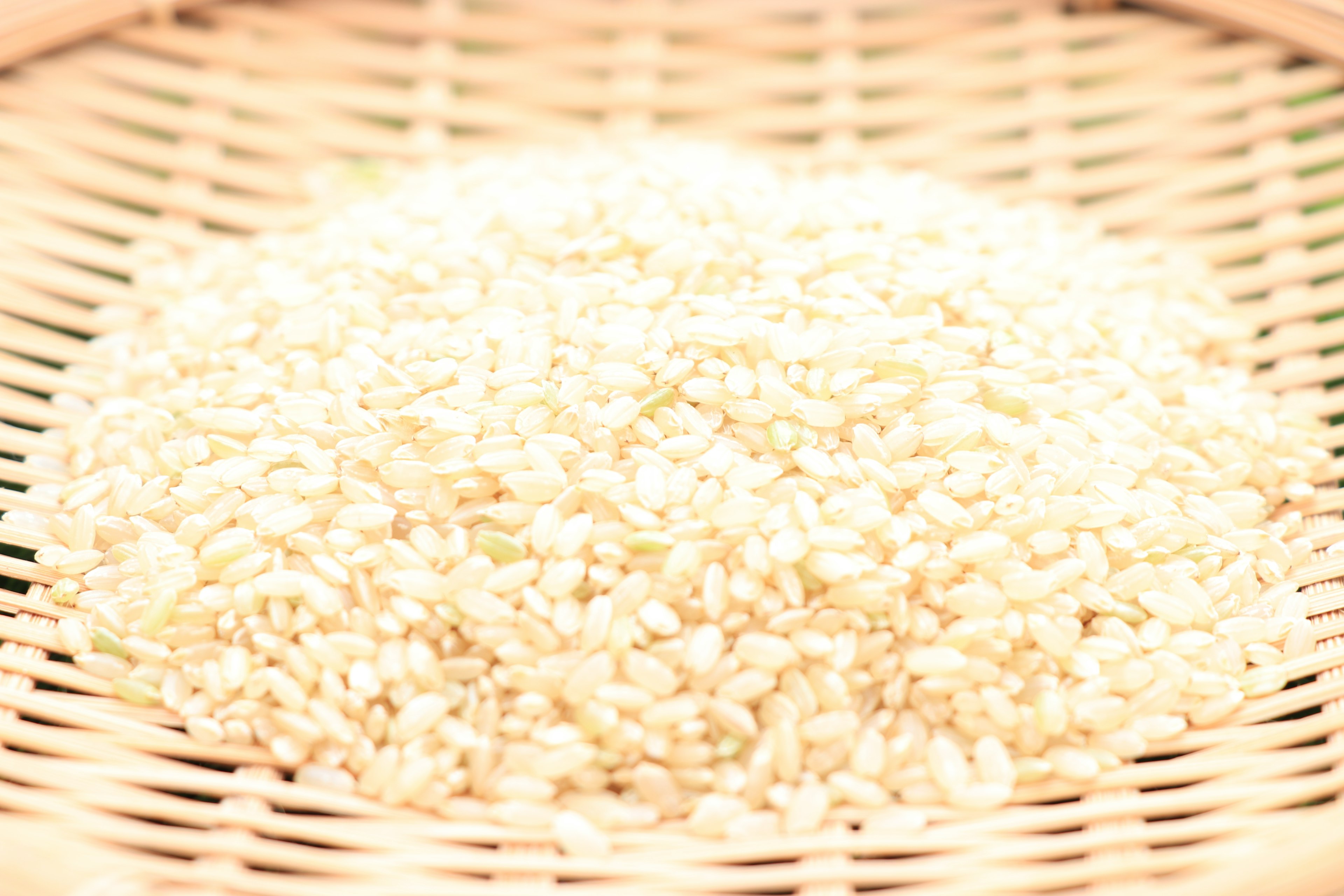 Montón de arroz blanco en una canasta tejida