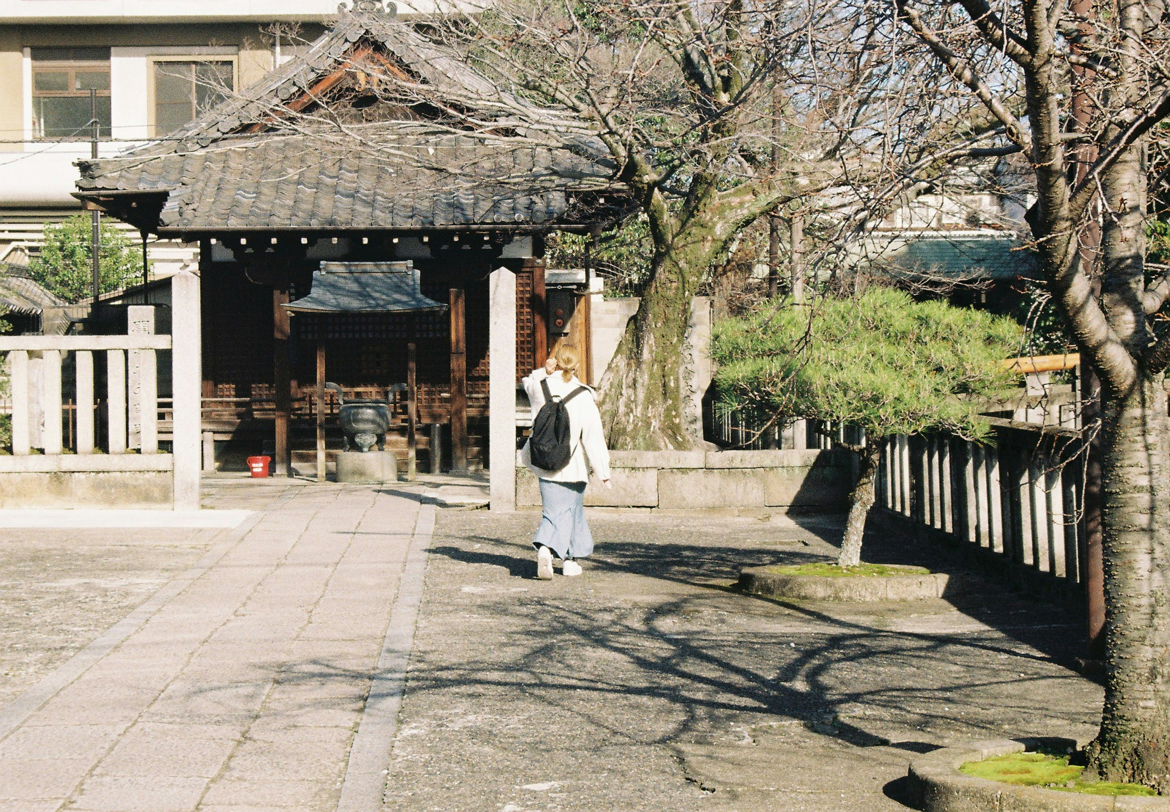 Traditional Japanese building in a quiet park with tree shadows