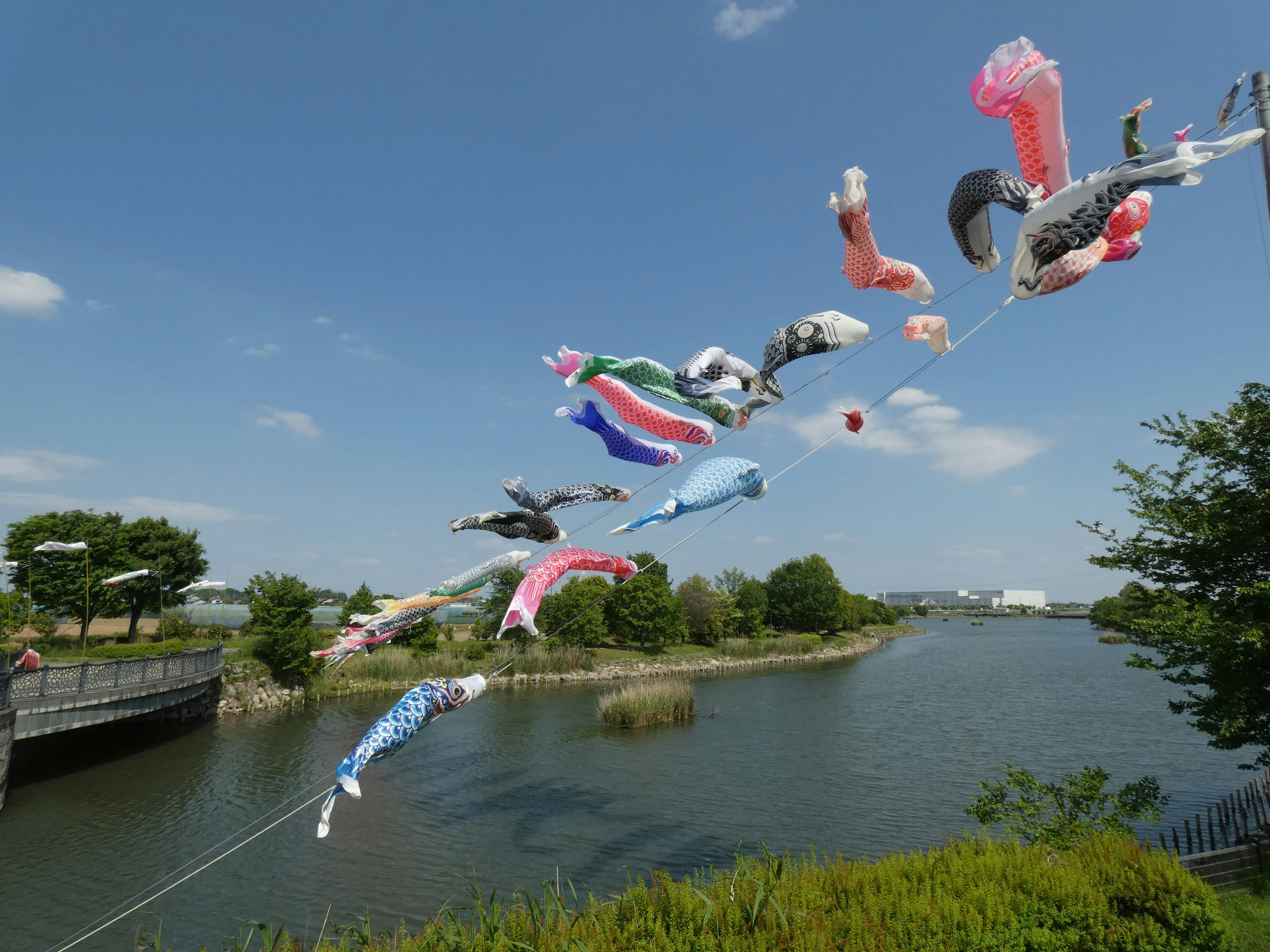 Bunte Ballonkunstinstallation, die über den Fluss fliegt