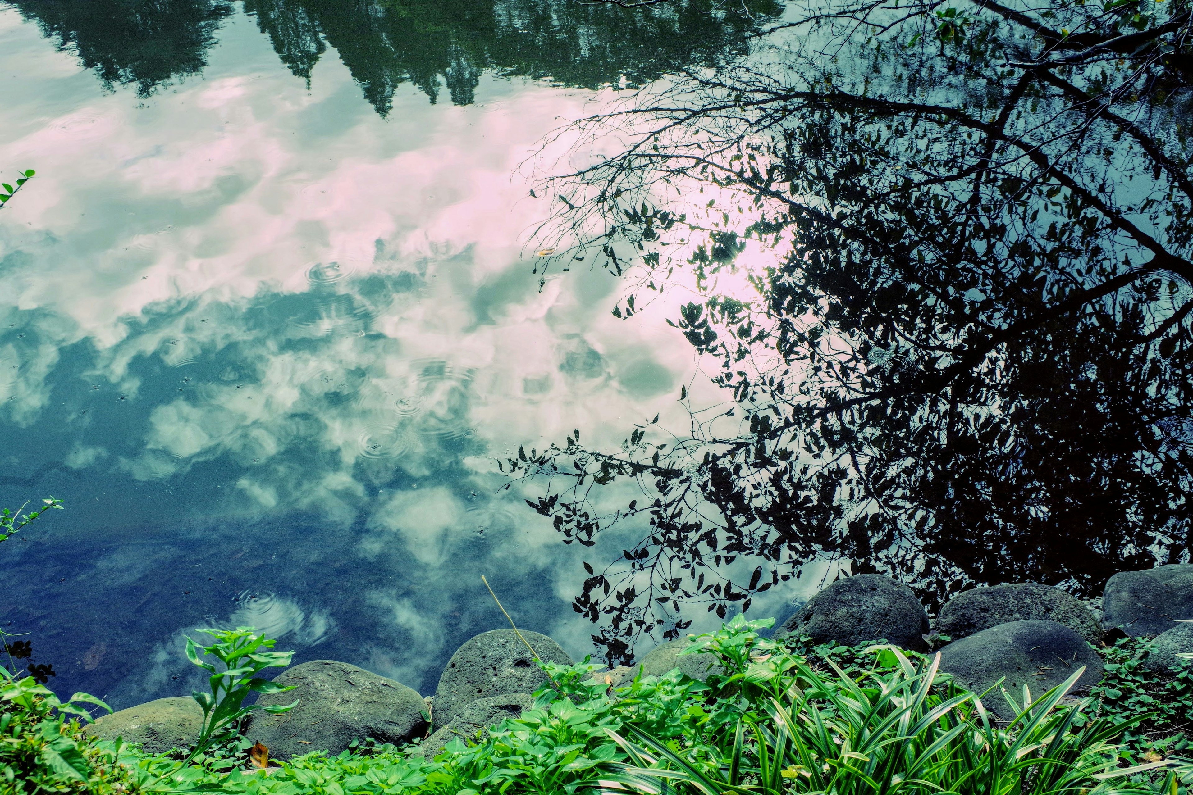 水面上雲朵和樹木倒影的寧靜場景