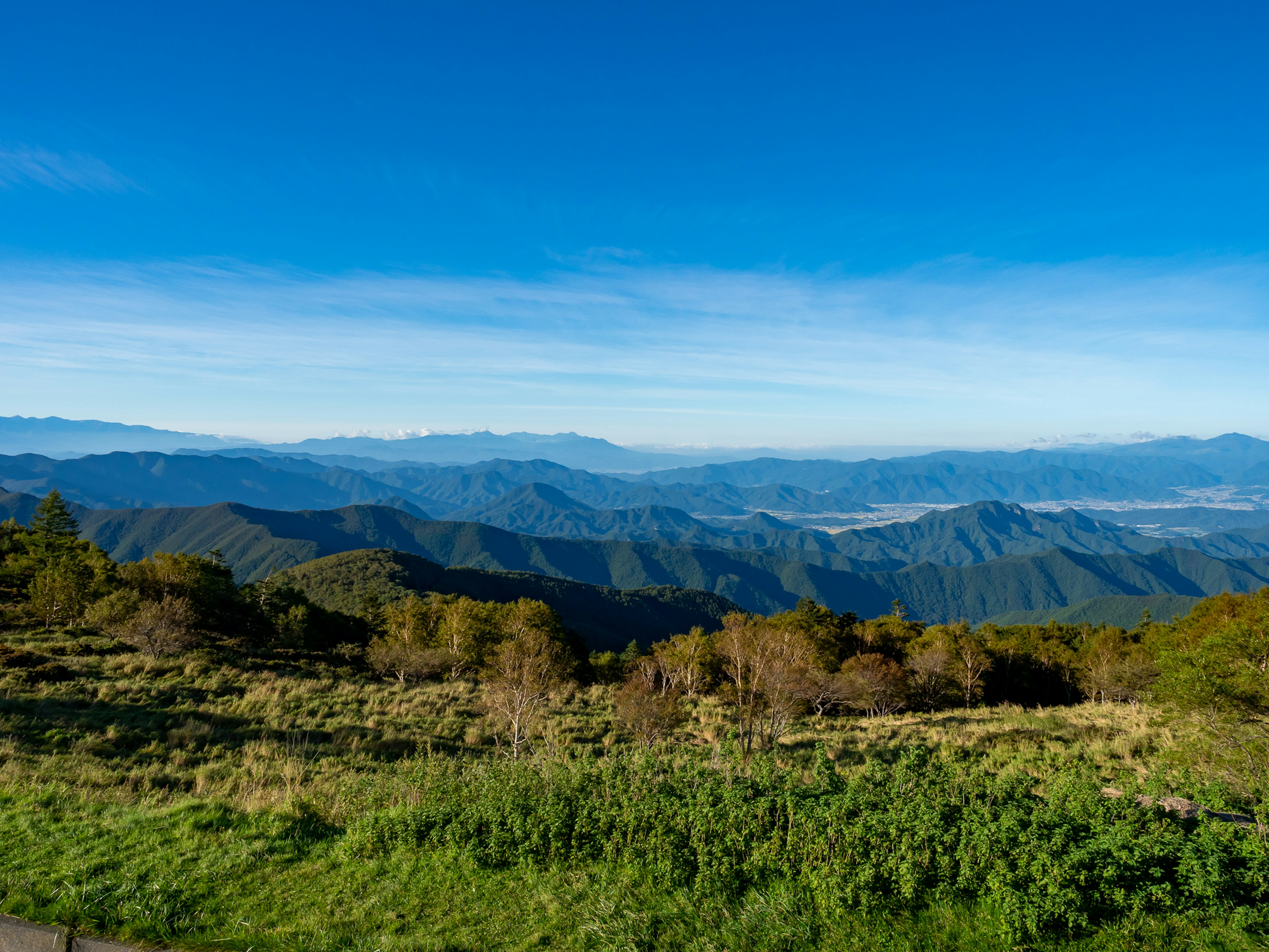 Weite Landschaft mit blauem Himmel und Bergen üppige grüne Wiese im Vordergrund