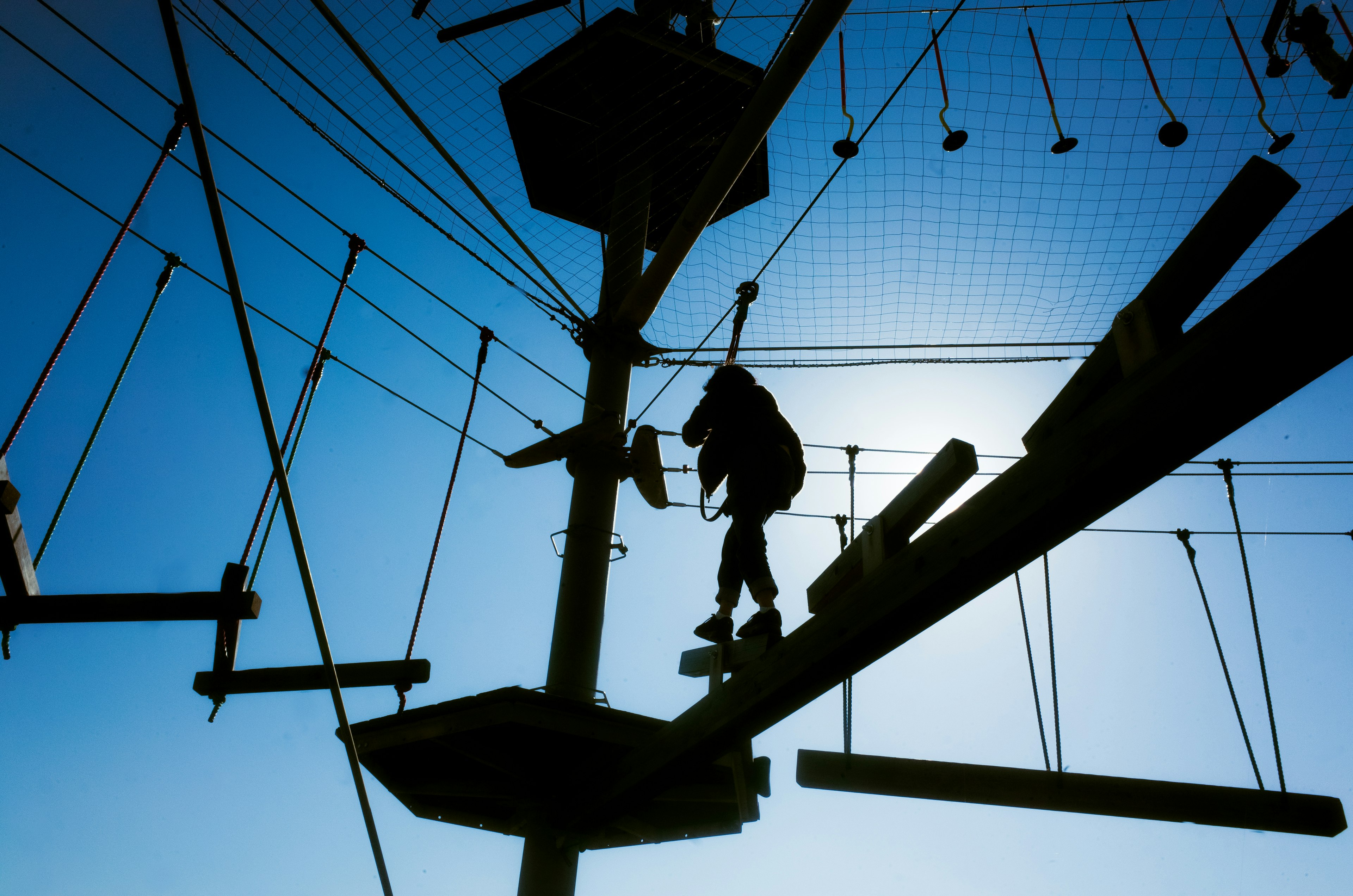 Silhouette of a person on a high ropes course among trees