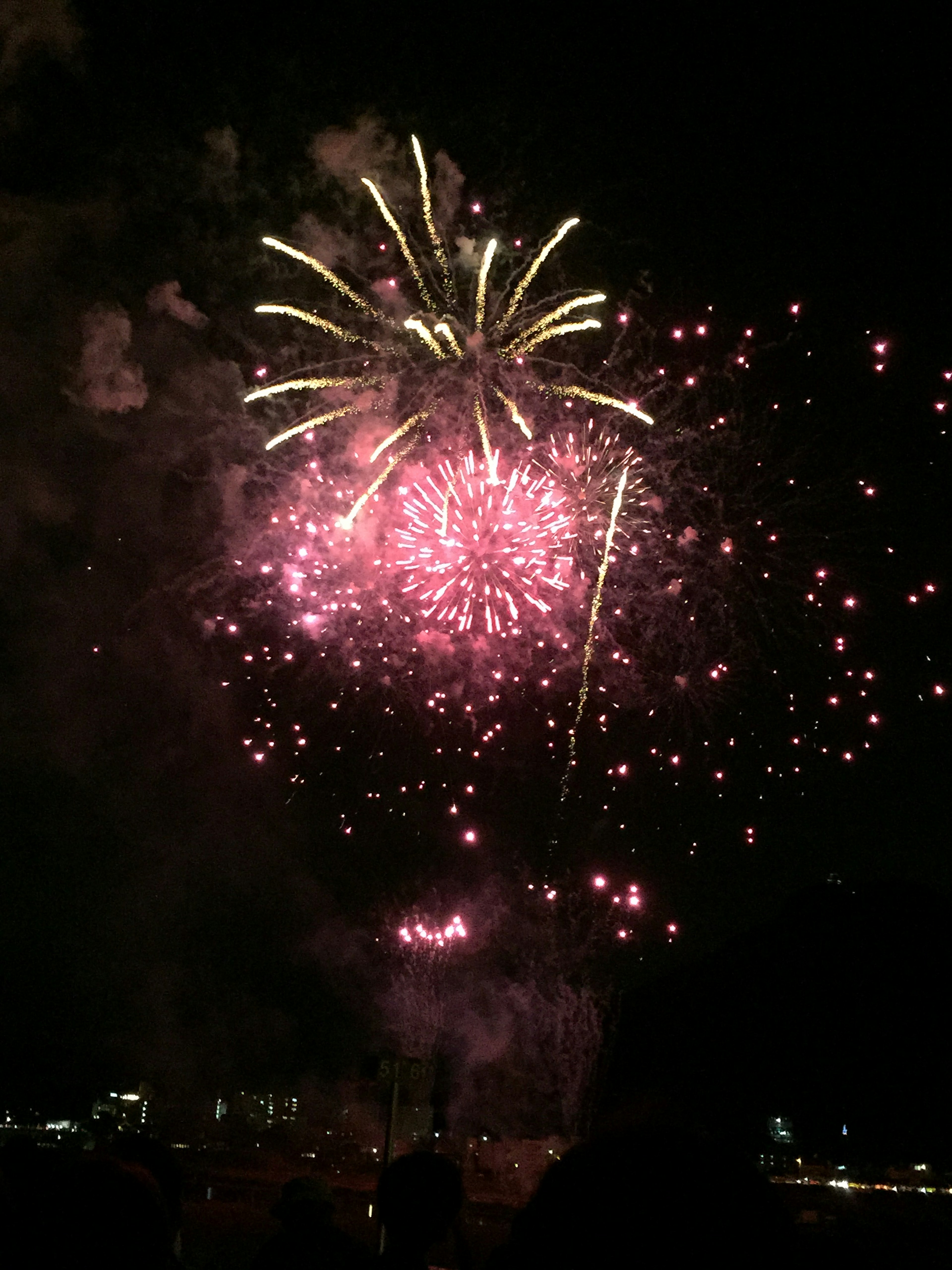 Fuegos artificiales coloridos estallando en el cielo nocturno