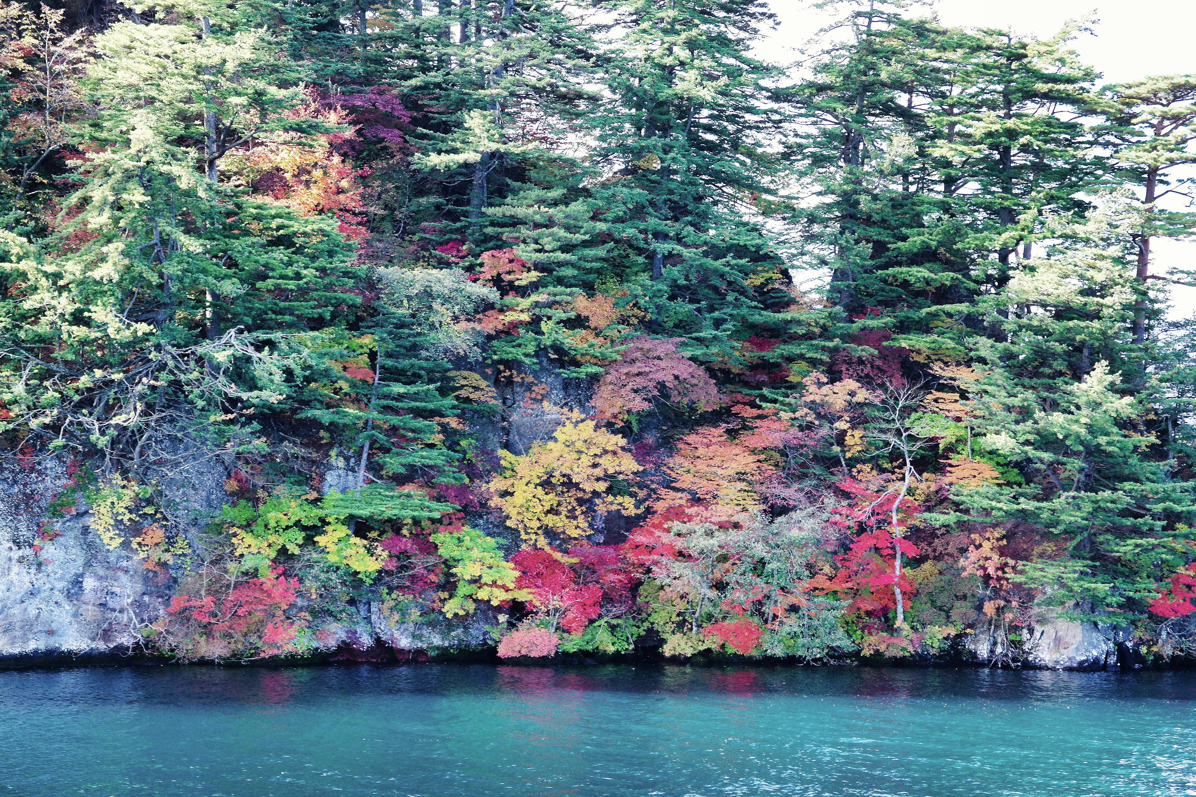 Vibrant autumn foliage along a lakeside cliff