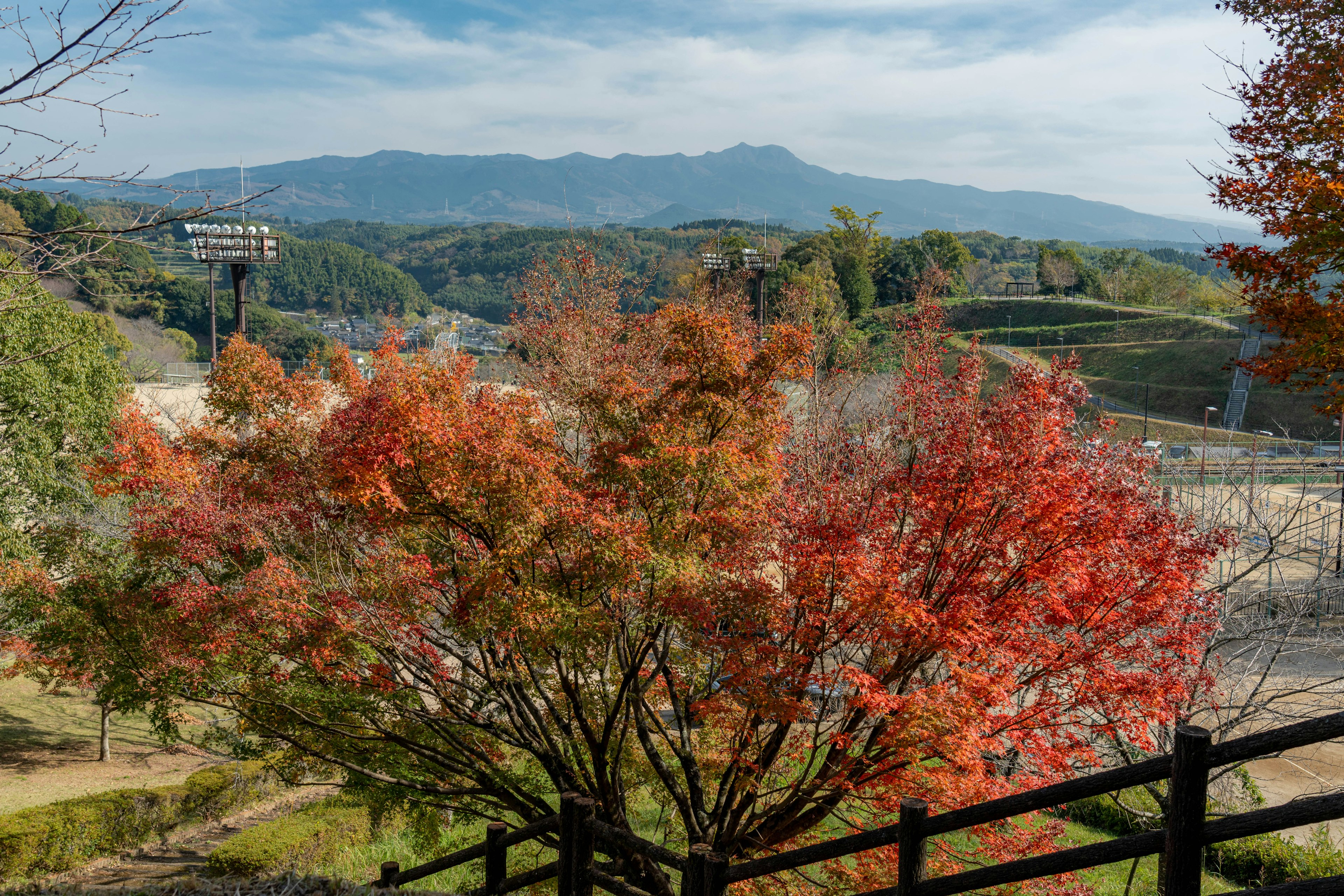 秋の紅葉した木と山の風景