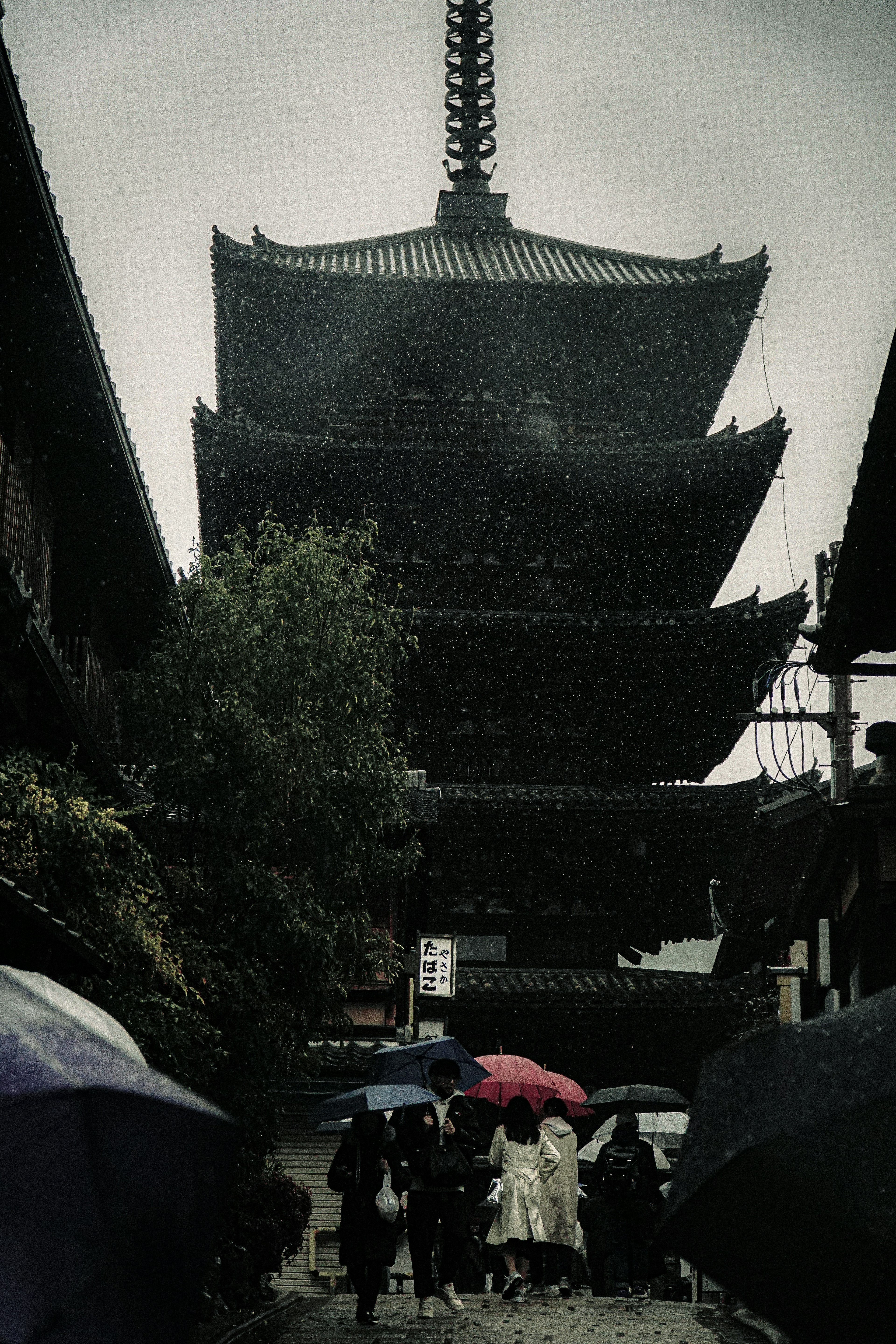 雨の中の五重塔と傘を持った人々