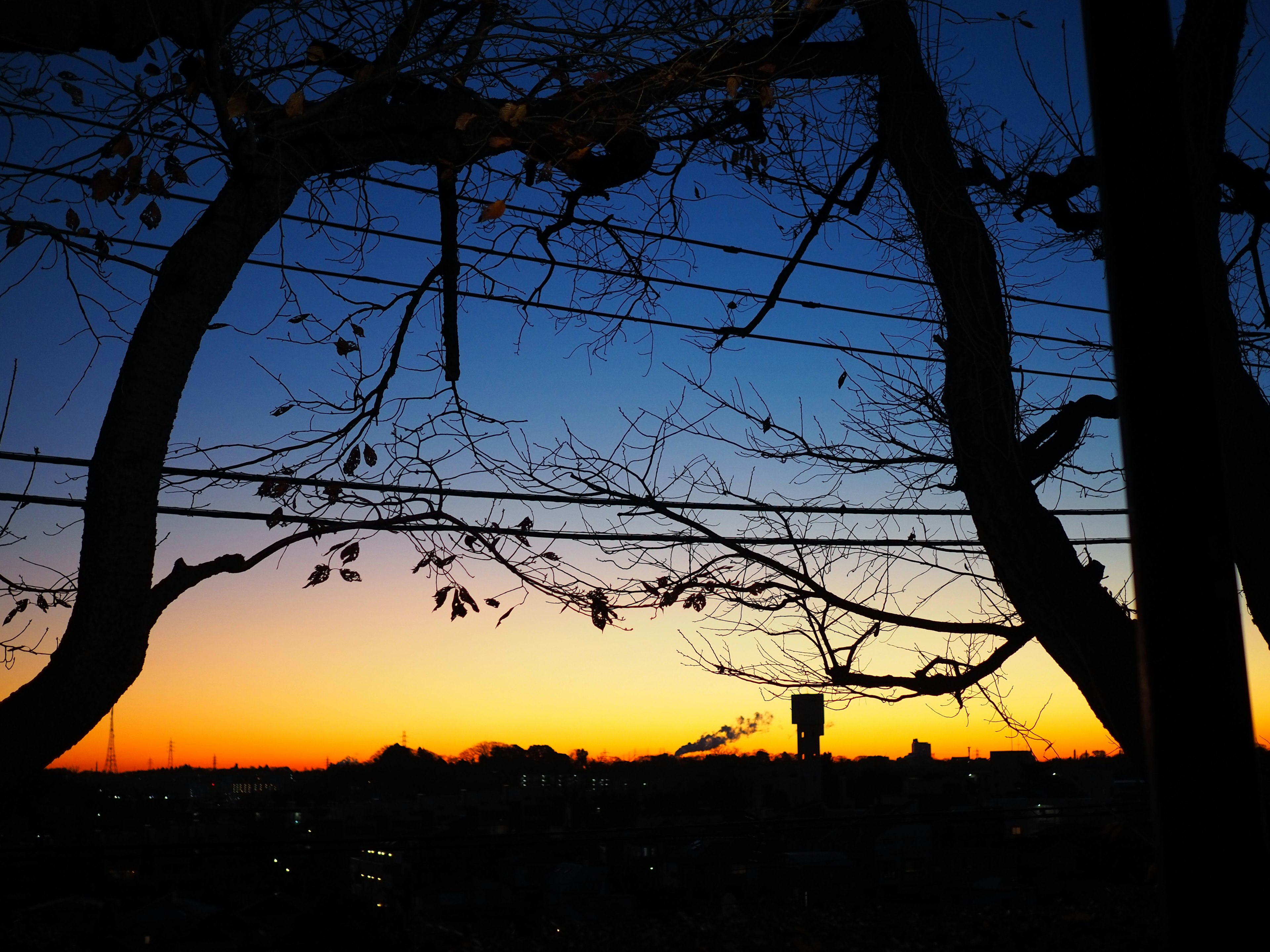 夕焼けの中にシルエットの木々と電線が見える風景