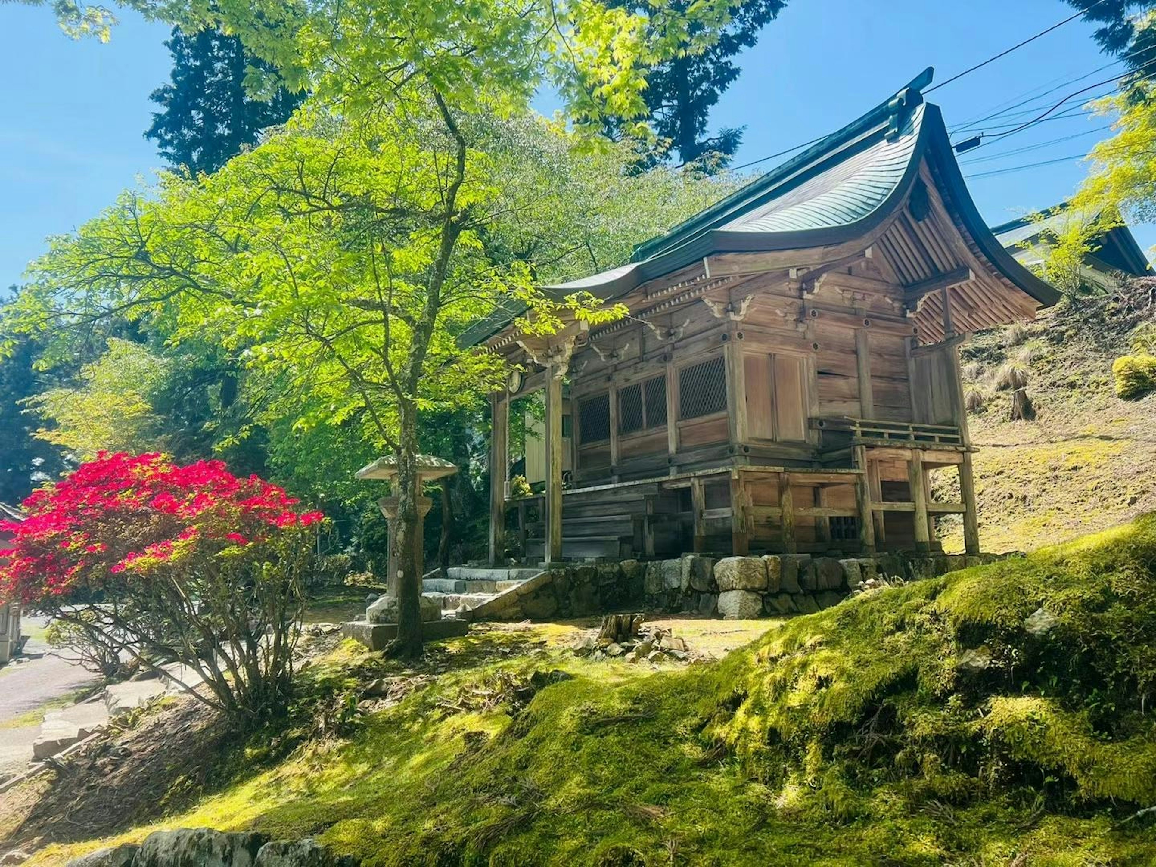 Ein historischer Tempel umgeben von lebhaften grünen Bäumen und bunten Blumen unter einem klaren blauen Himmel