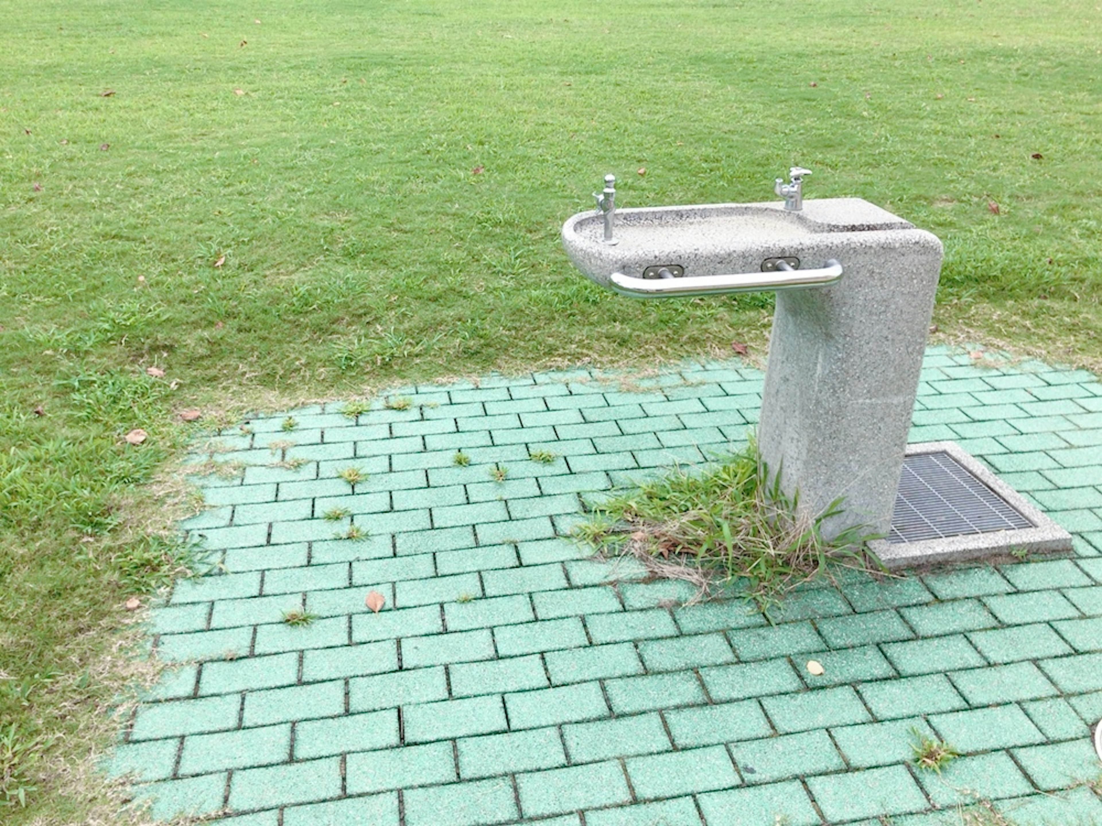 Fuente de agua en un área de césped con baldosas verdes