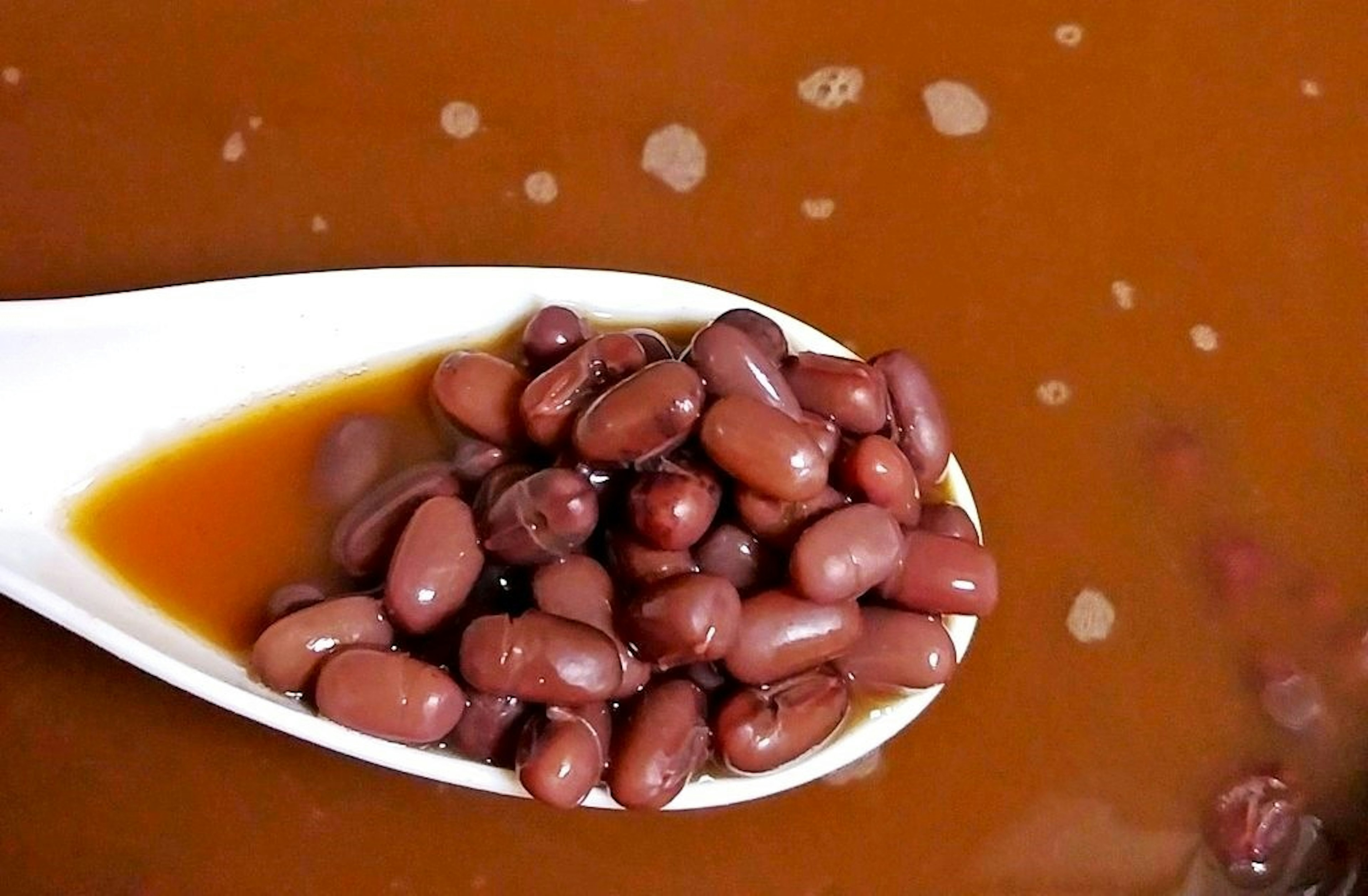 A spoonful of red beans in brown liquid