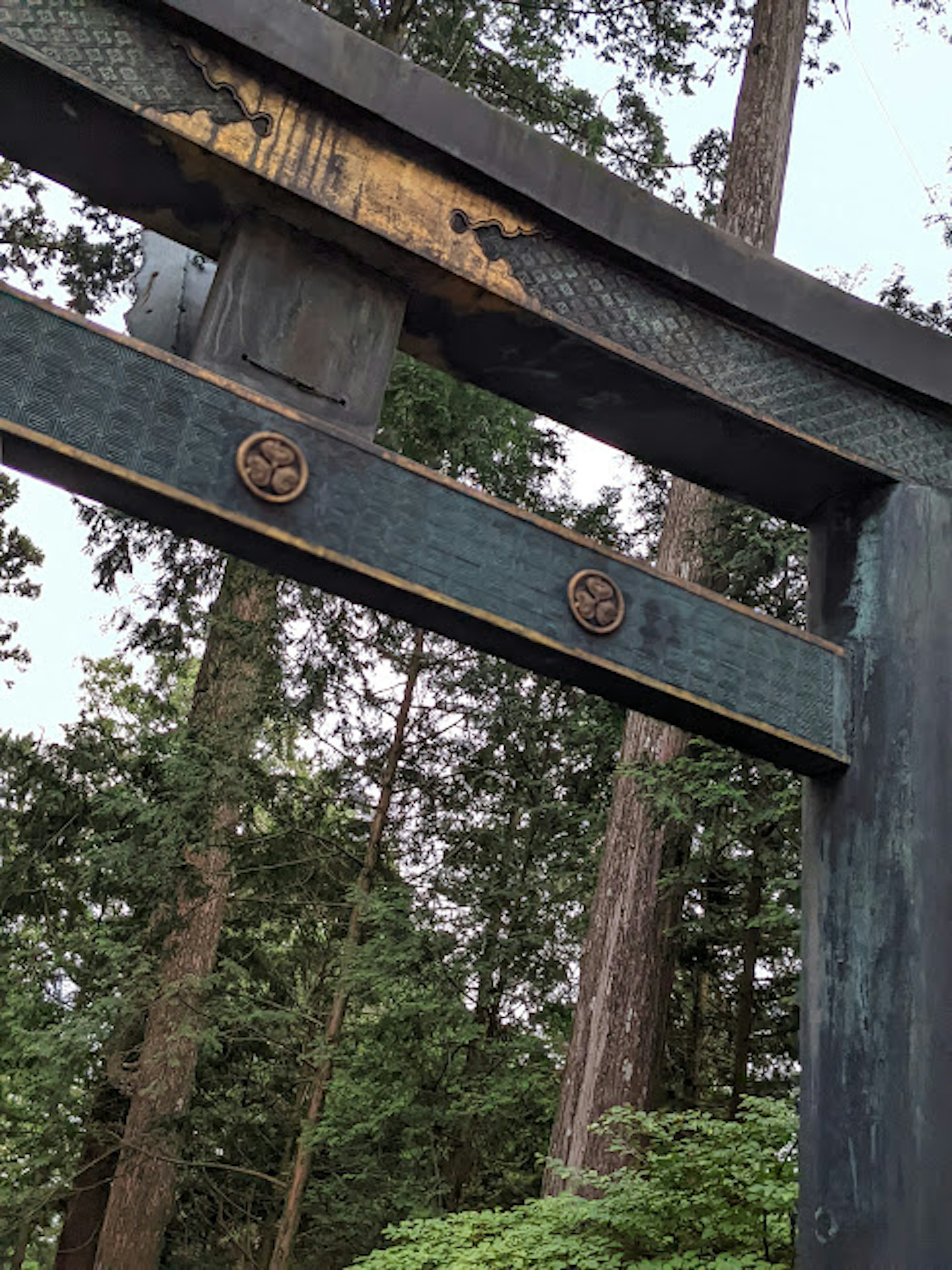 Gerbang torii biru dengan pohon di latar belakang