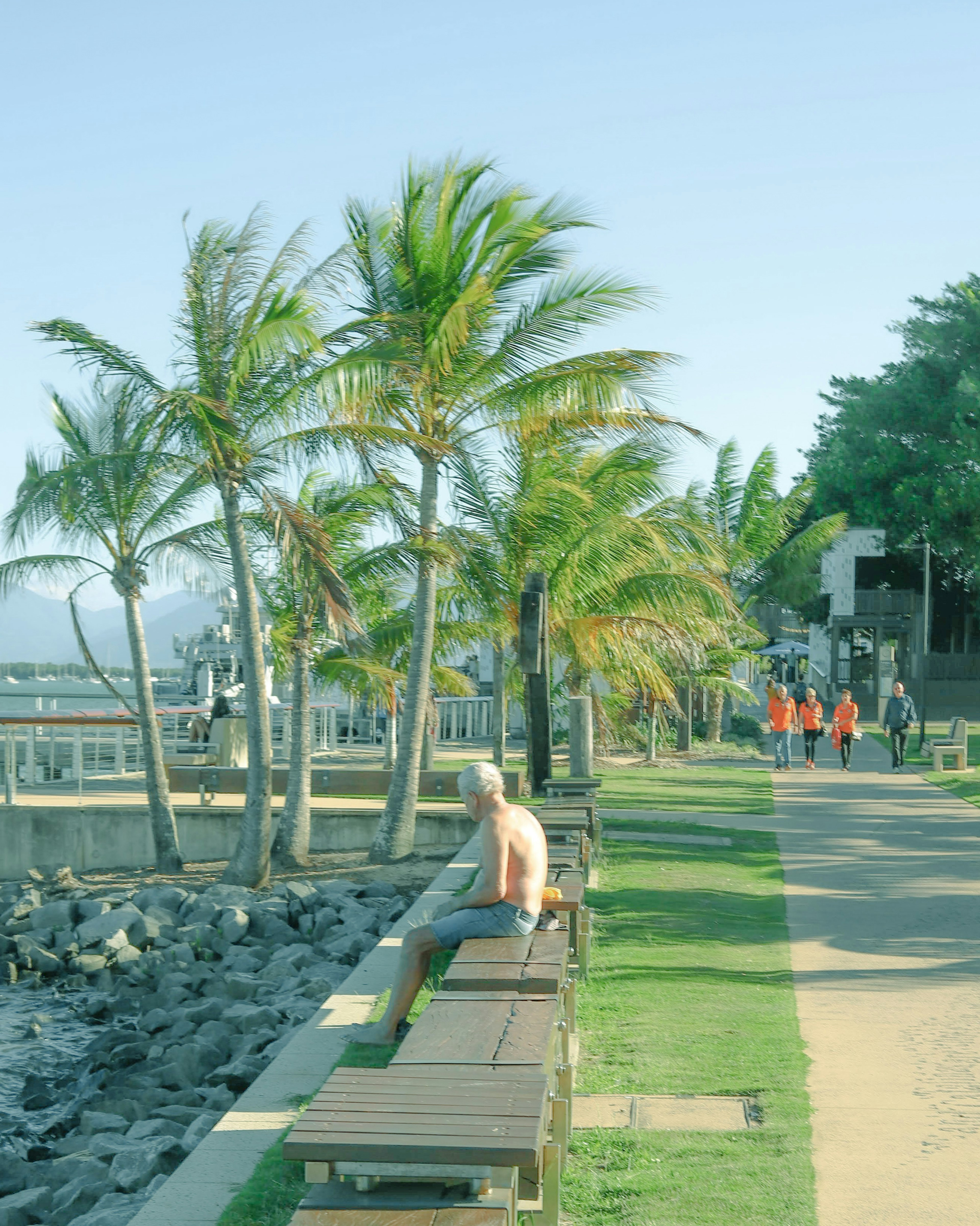 Man sitting on a bench by the seaside walkway with palm trees in the background