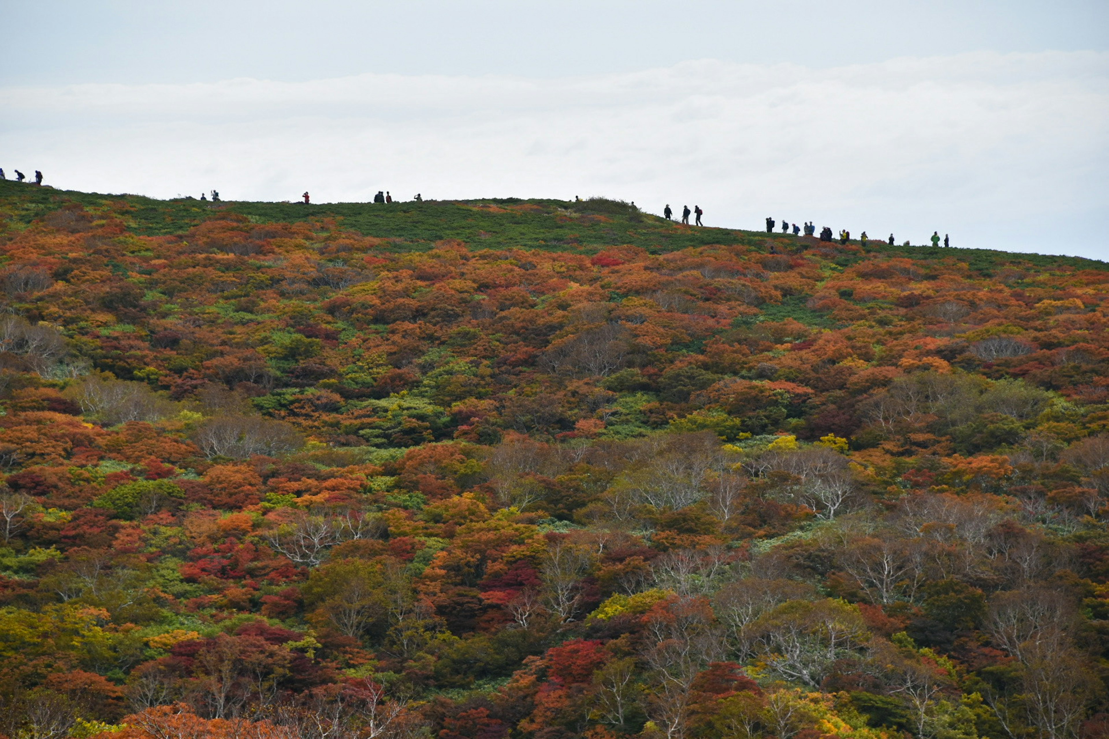 Paysage d'automne avec feuillage coloré et silhouettes de randonneurs