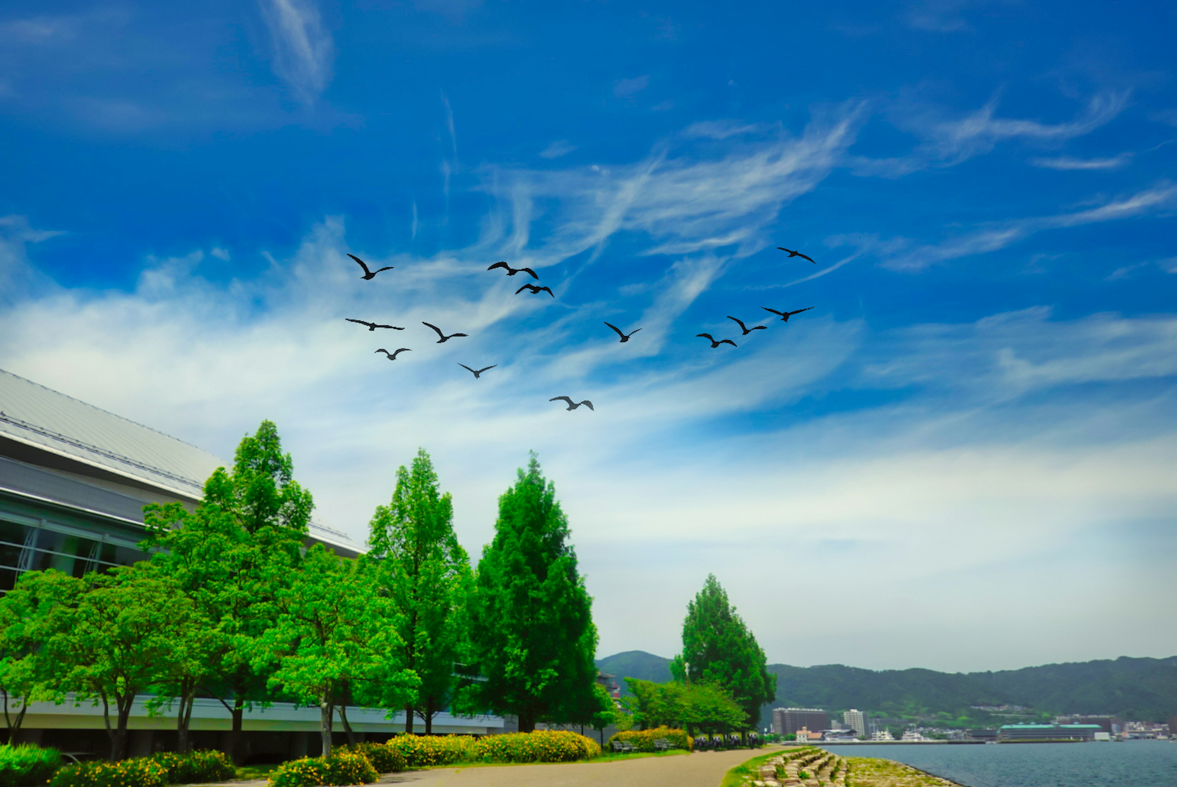 青空の下に飛ぶ鳥たちと緑の木々の並木道