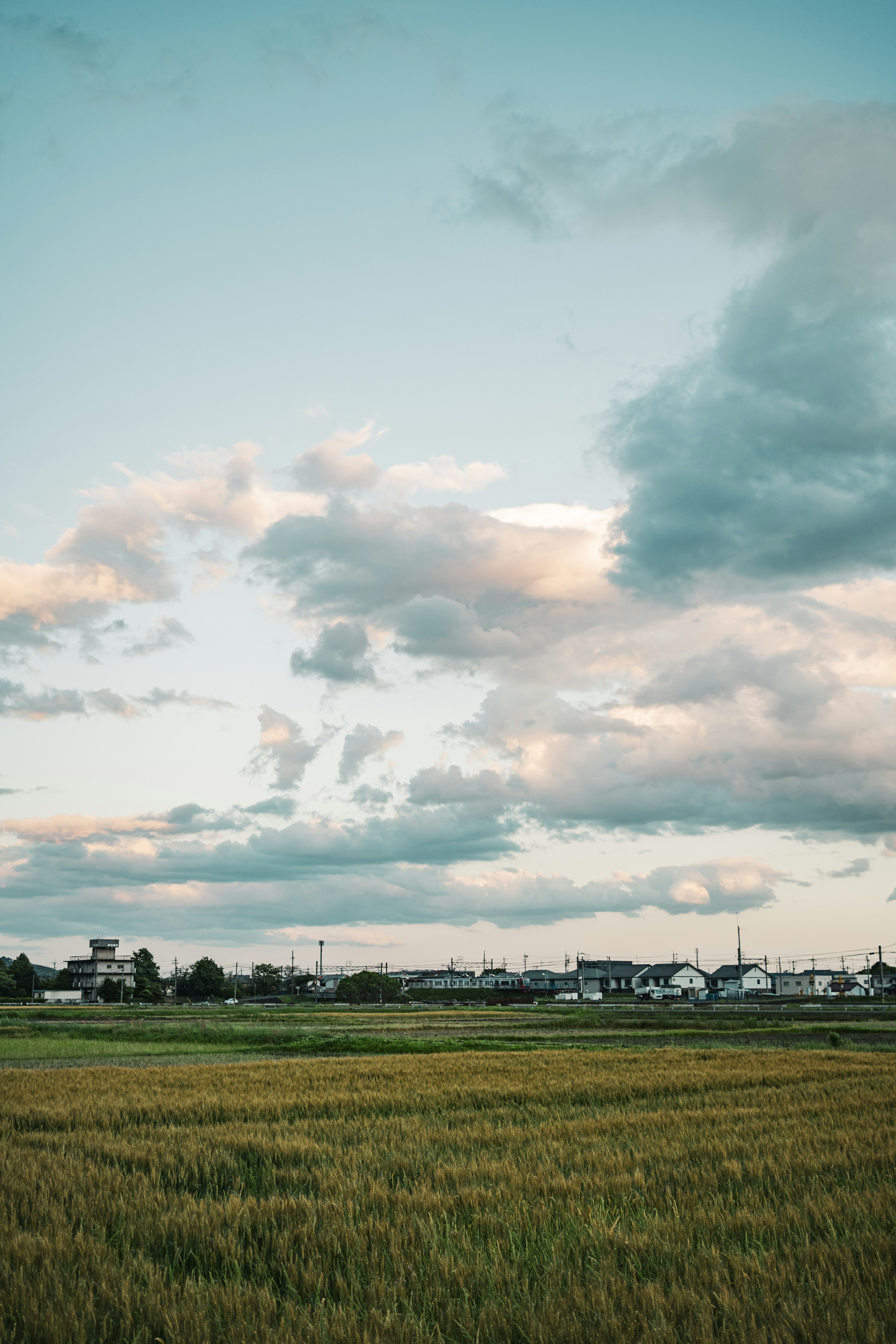 穏やかな空の下に広がる緑の稲田と雲の景色