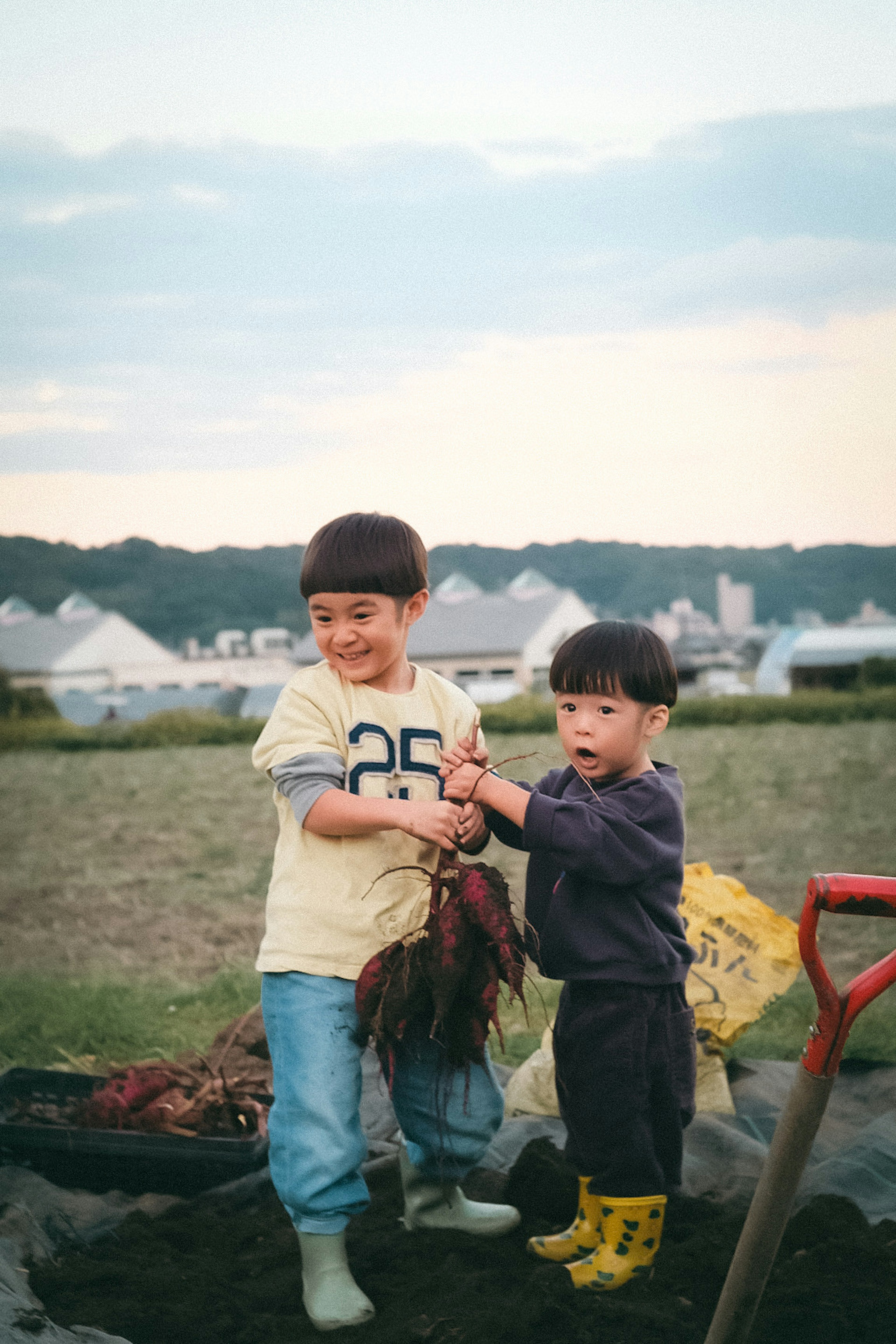 二人の子供が土の中から野菜を引き抜いている農場の風景