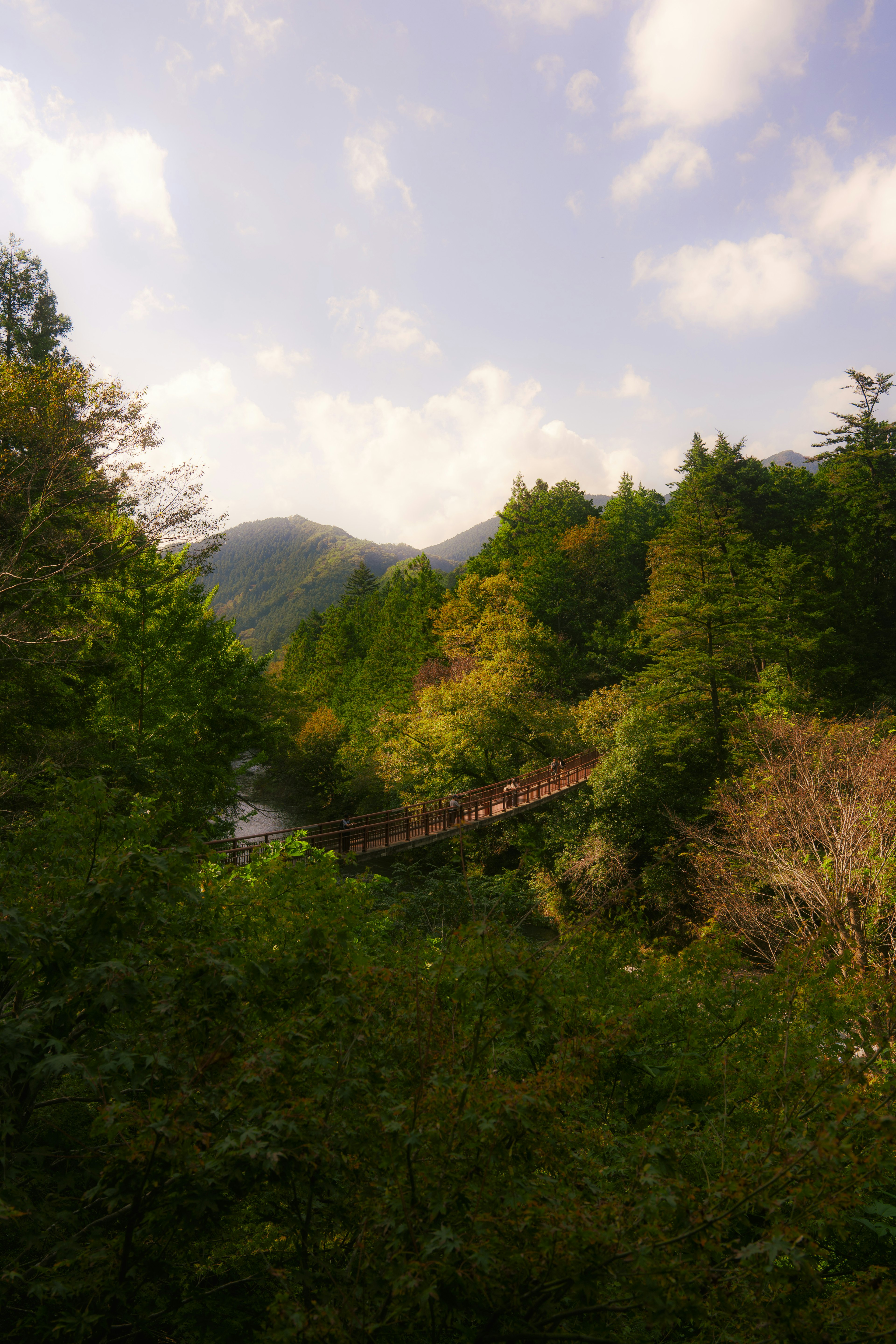 緑豊かな山々に囲まれた穏やかな川と木製の橋が見える風景