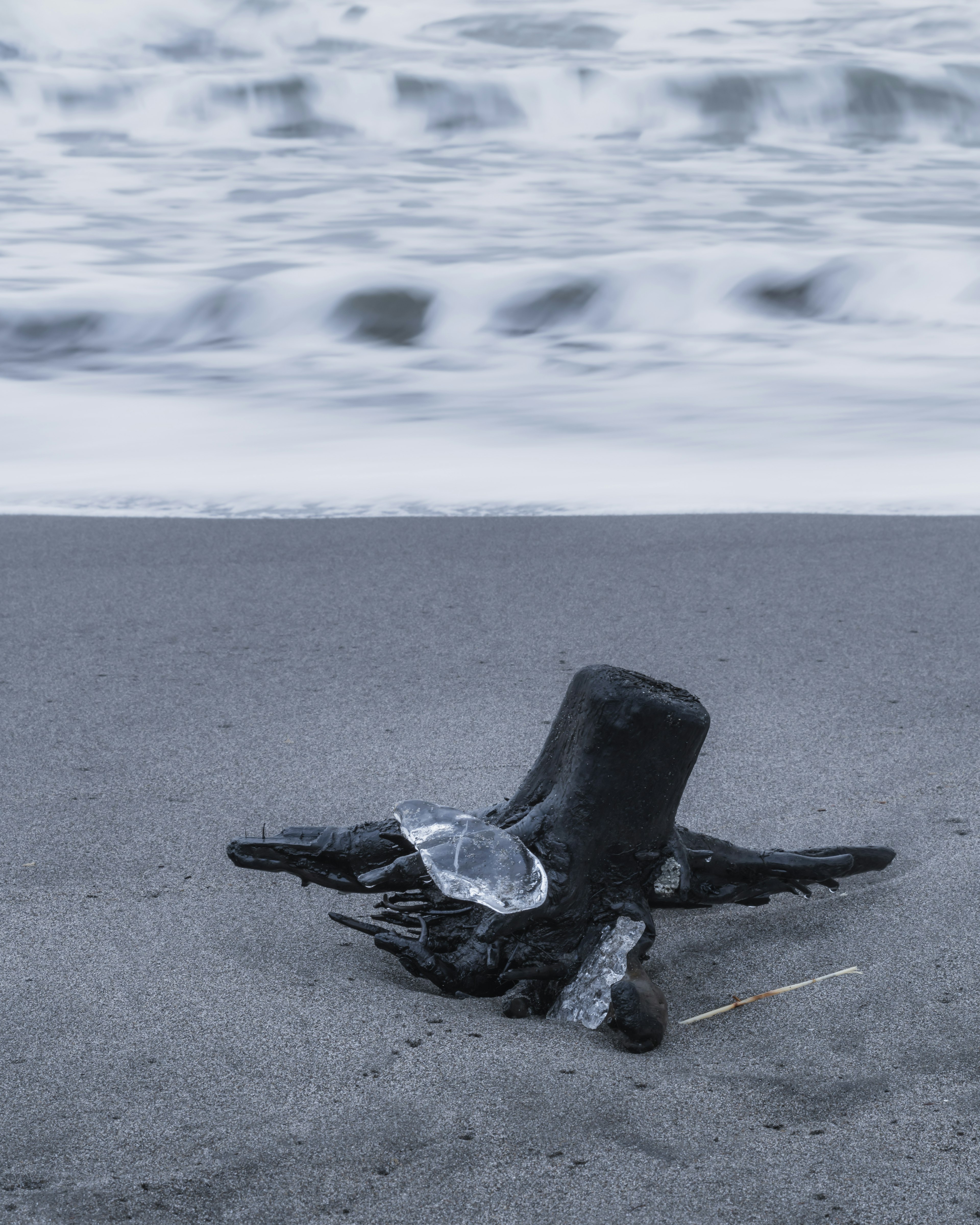 Schwarzes Holzstück mit Glasscherbe am Strand