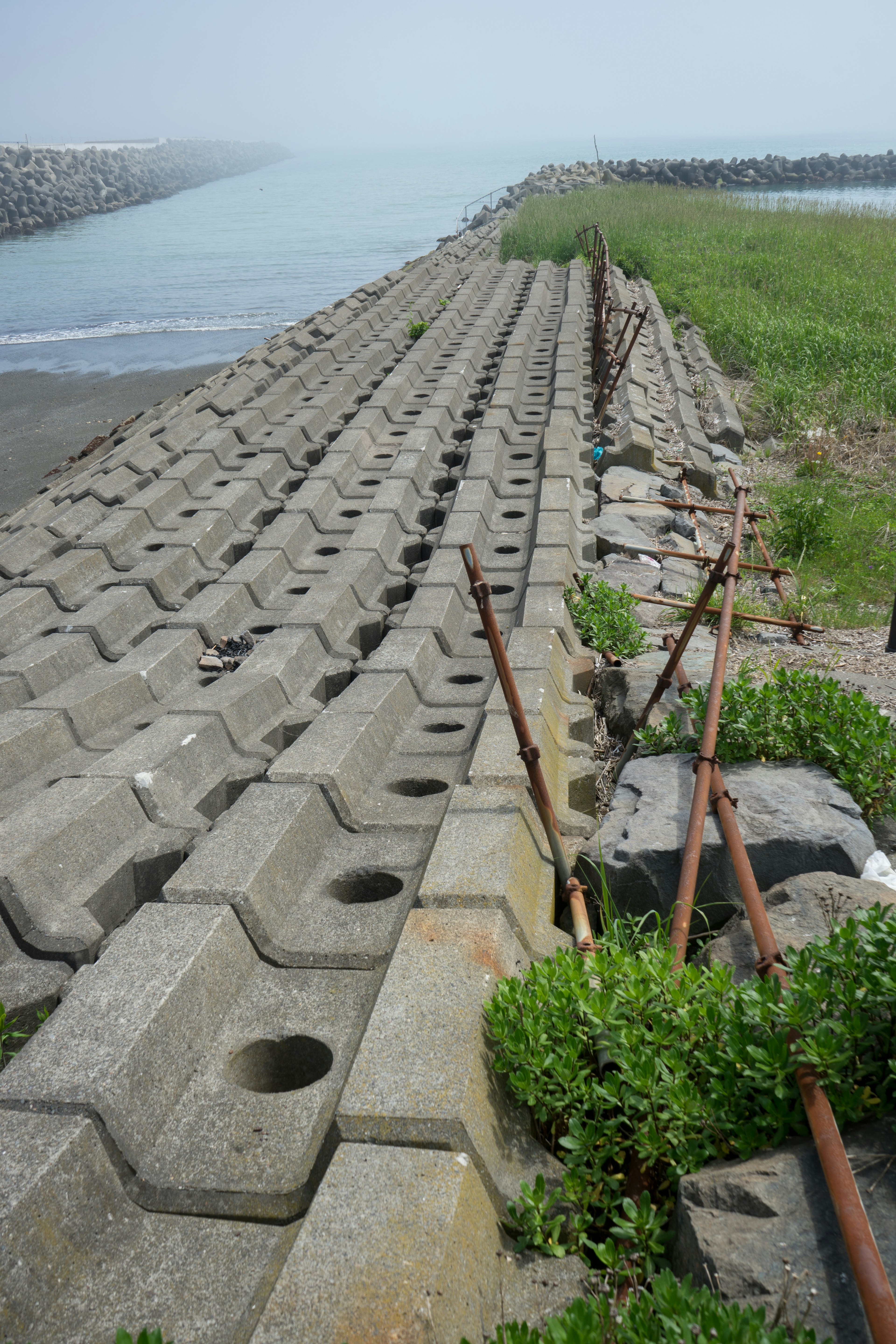 コンクリートの護岸と草の生えた堤防の風景