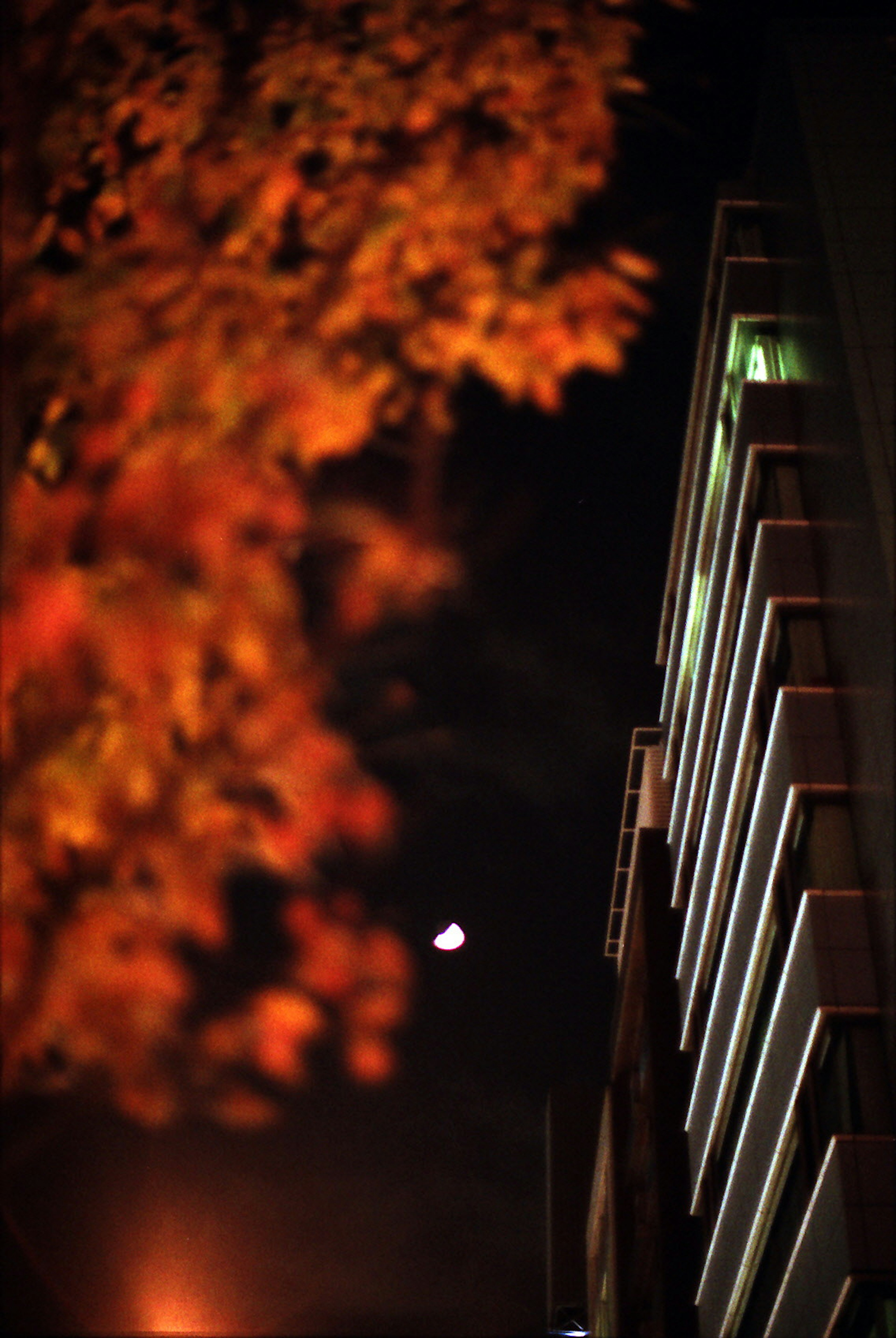 Escena nocturna con un edificio y hojas de otoño bajo la luna