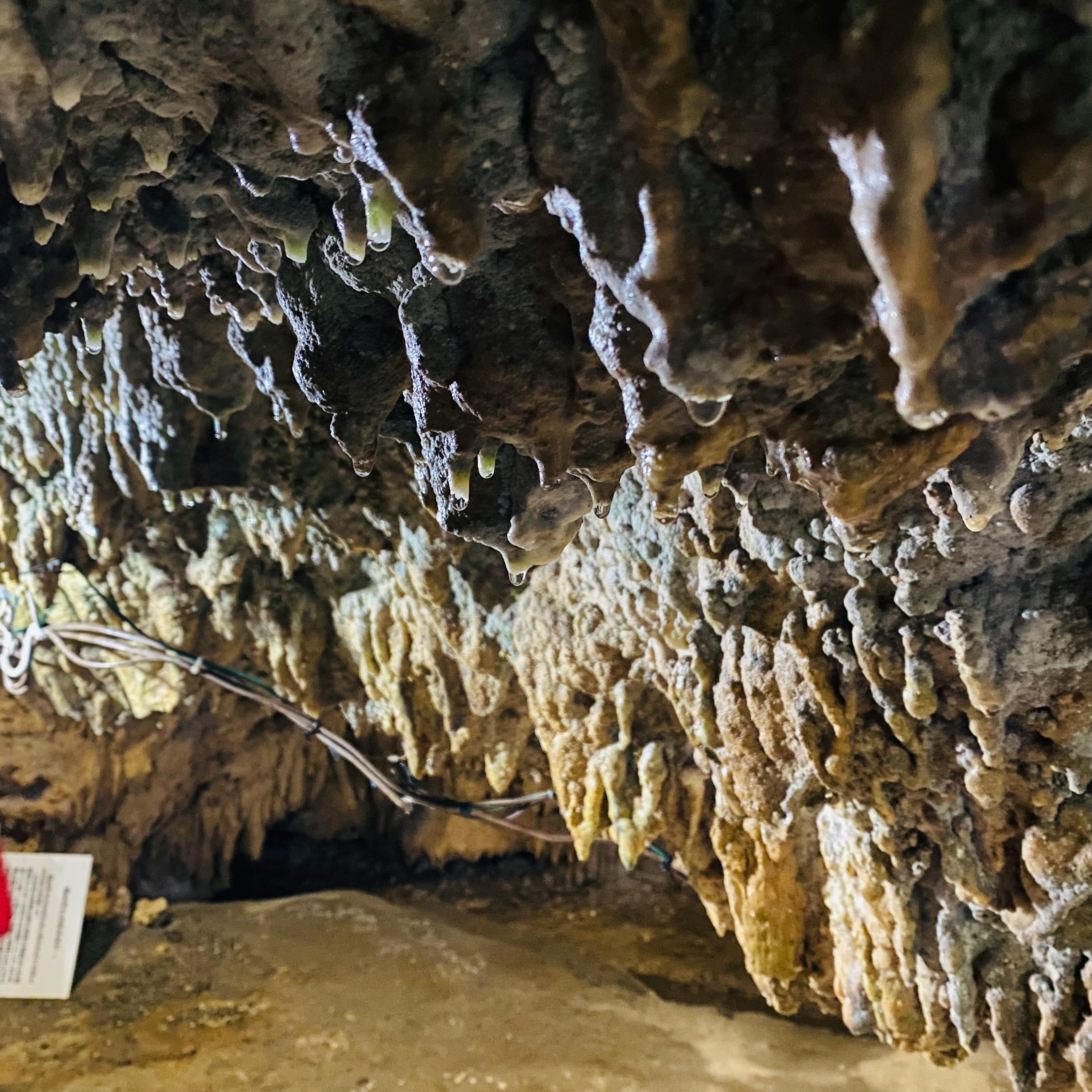 Vista dettagliata di stalattiti e stalagmiti sulle pareti della grotta