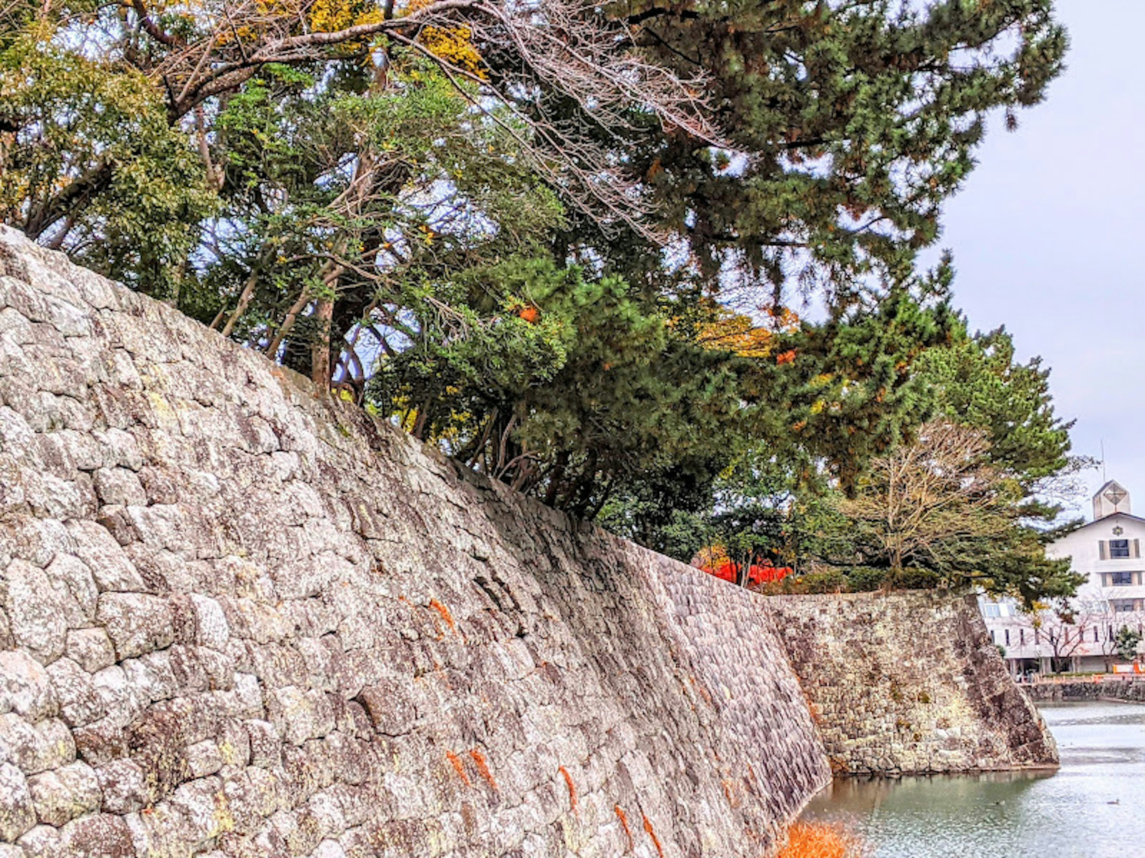 Vista serena a bordo acqua con muro di pietra e alberi