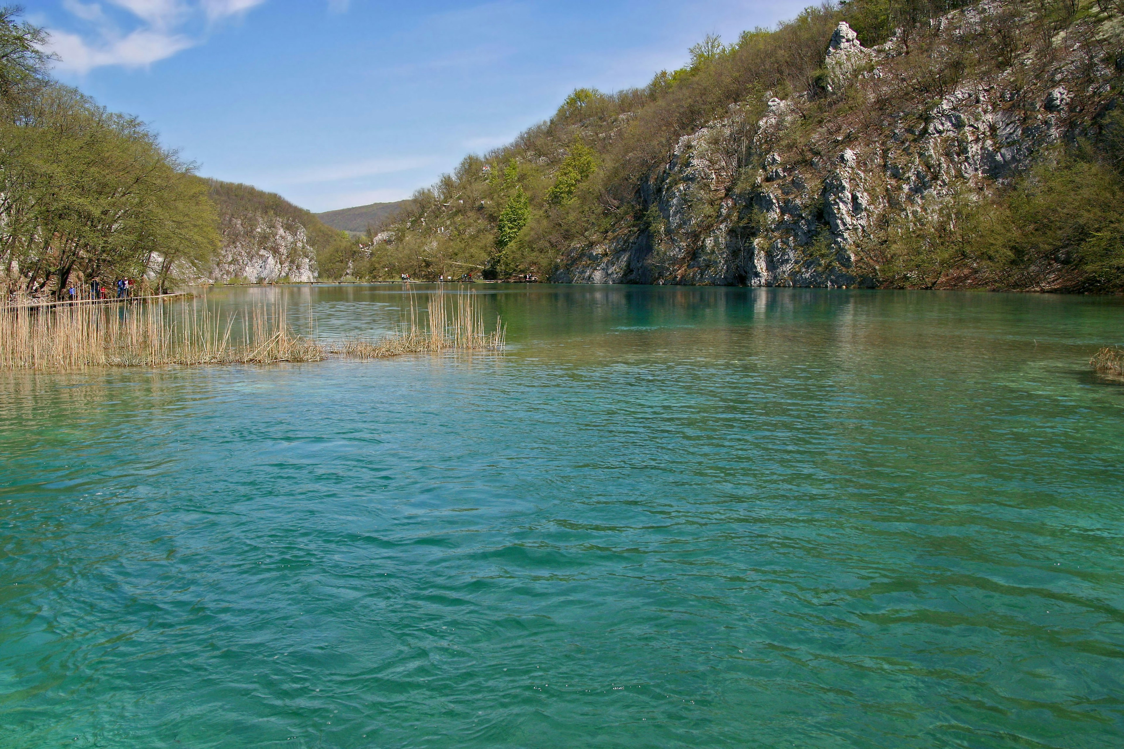 Malersicher Blick auf einen türkisfarbenen See, umgeben von grünen Bäumen und felsigen Klippen