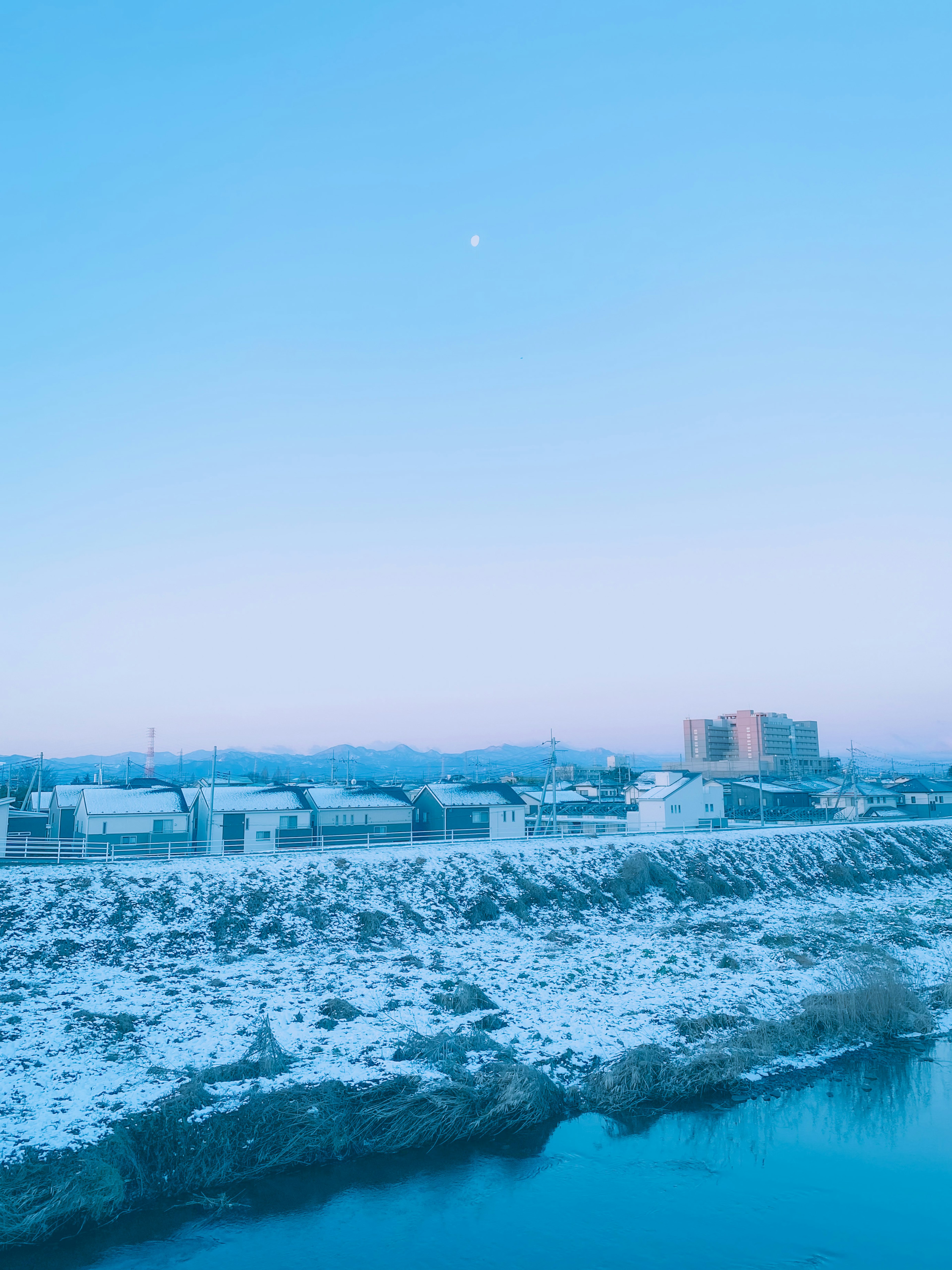 Snow-covered riverbank under a blue sky