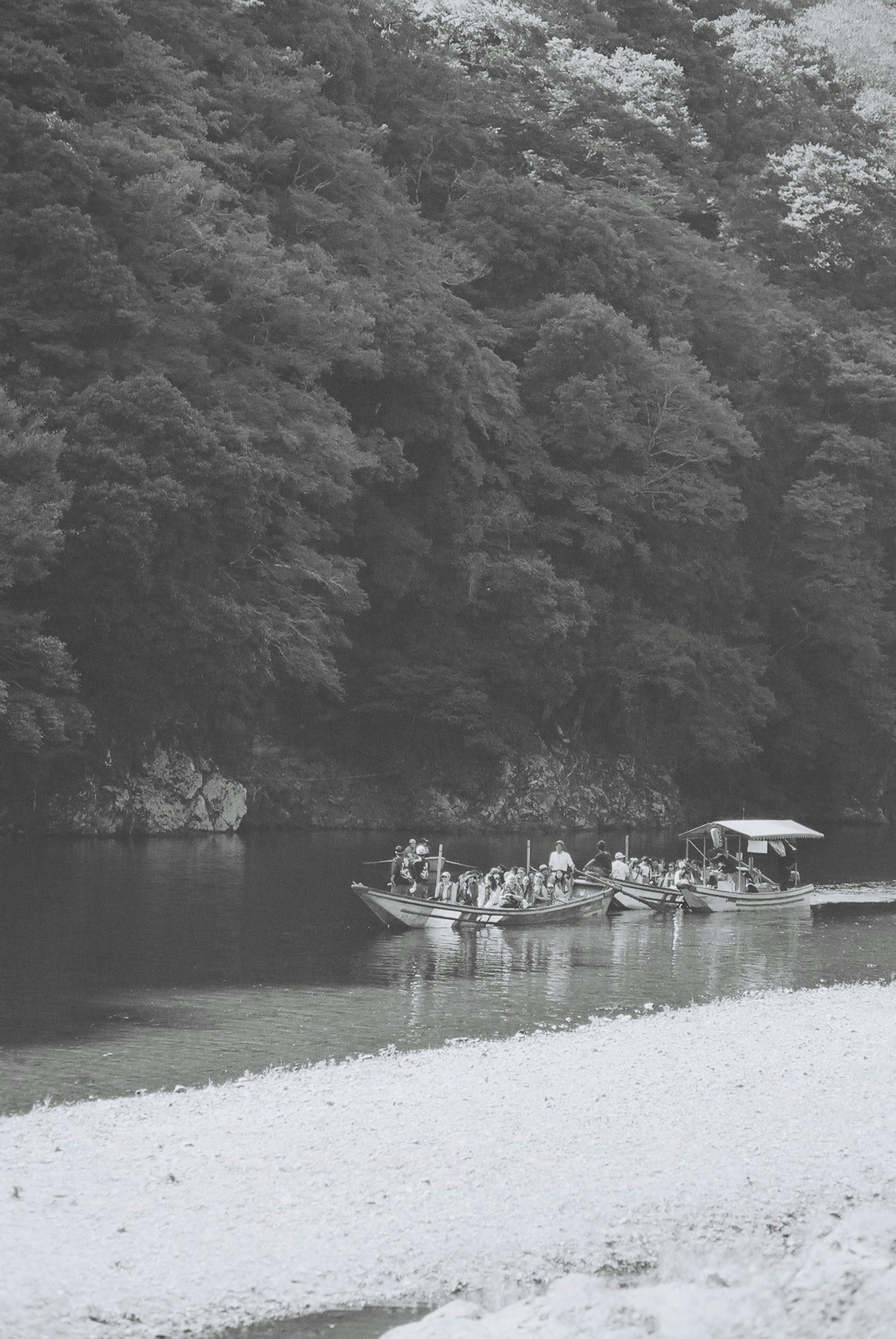 Des gens dans un bateau sur une rivière calme entourée d'arbres verts