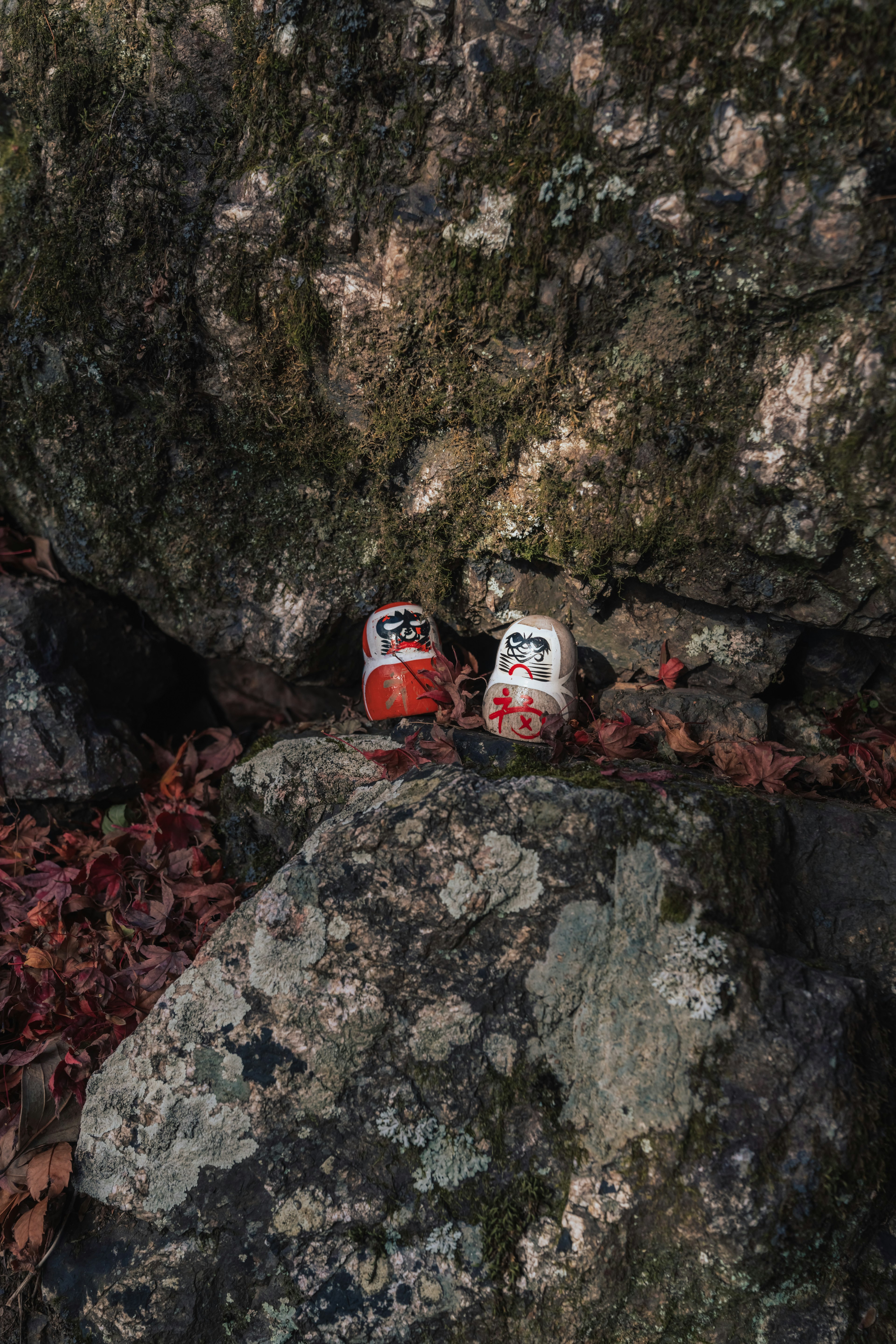 Immagine di due lattine posizionate tra le rocce con foglie sparse intorno