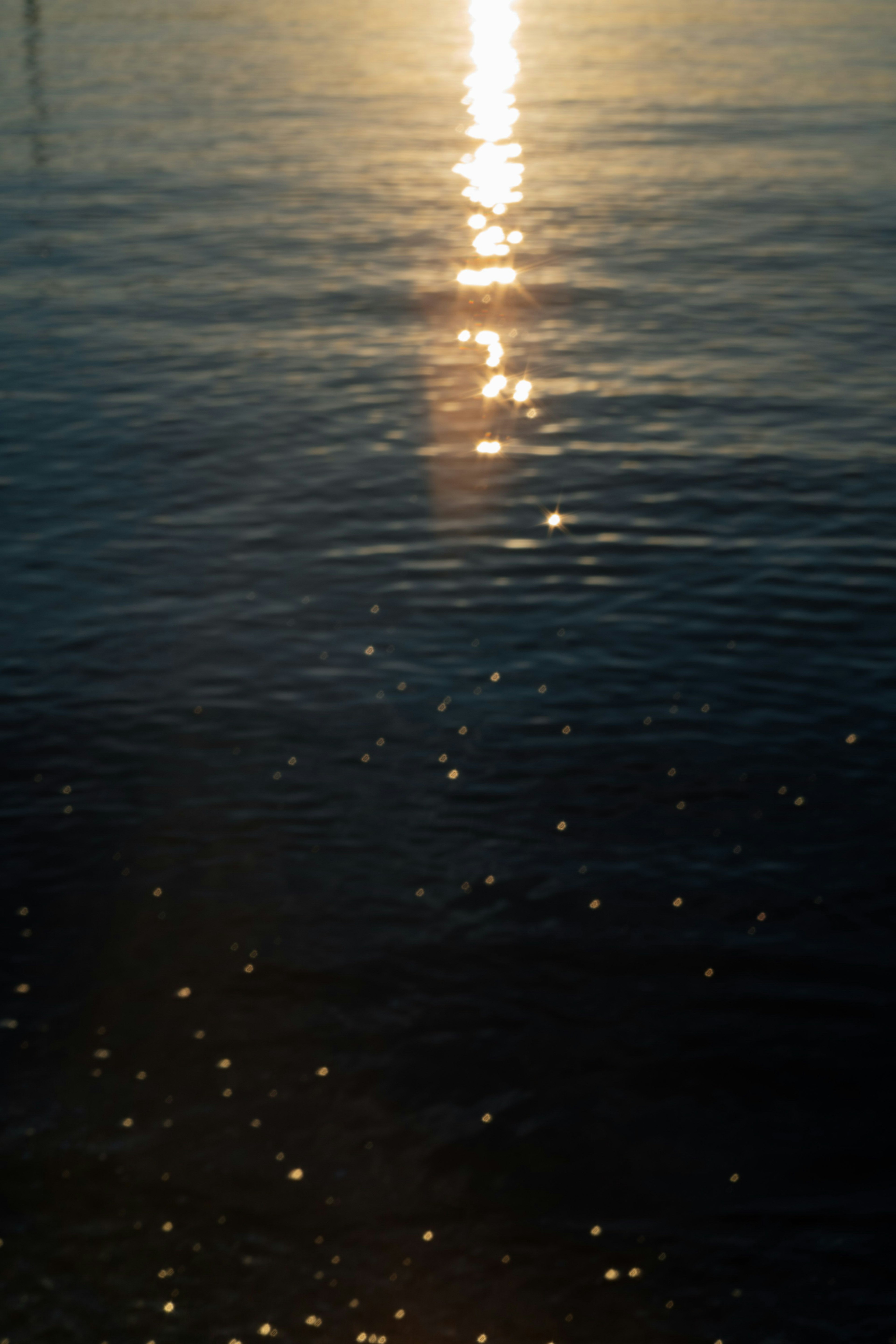 水面に反射する夕日の光と波紋