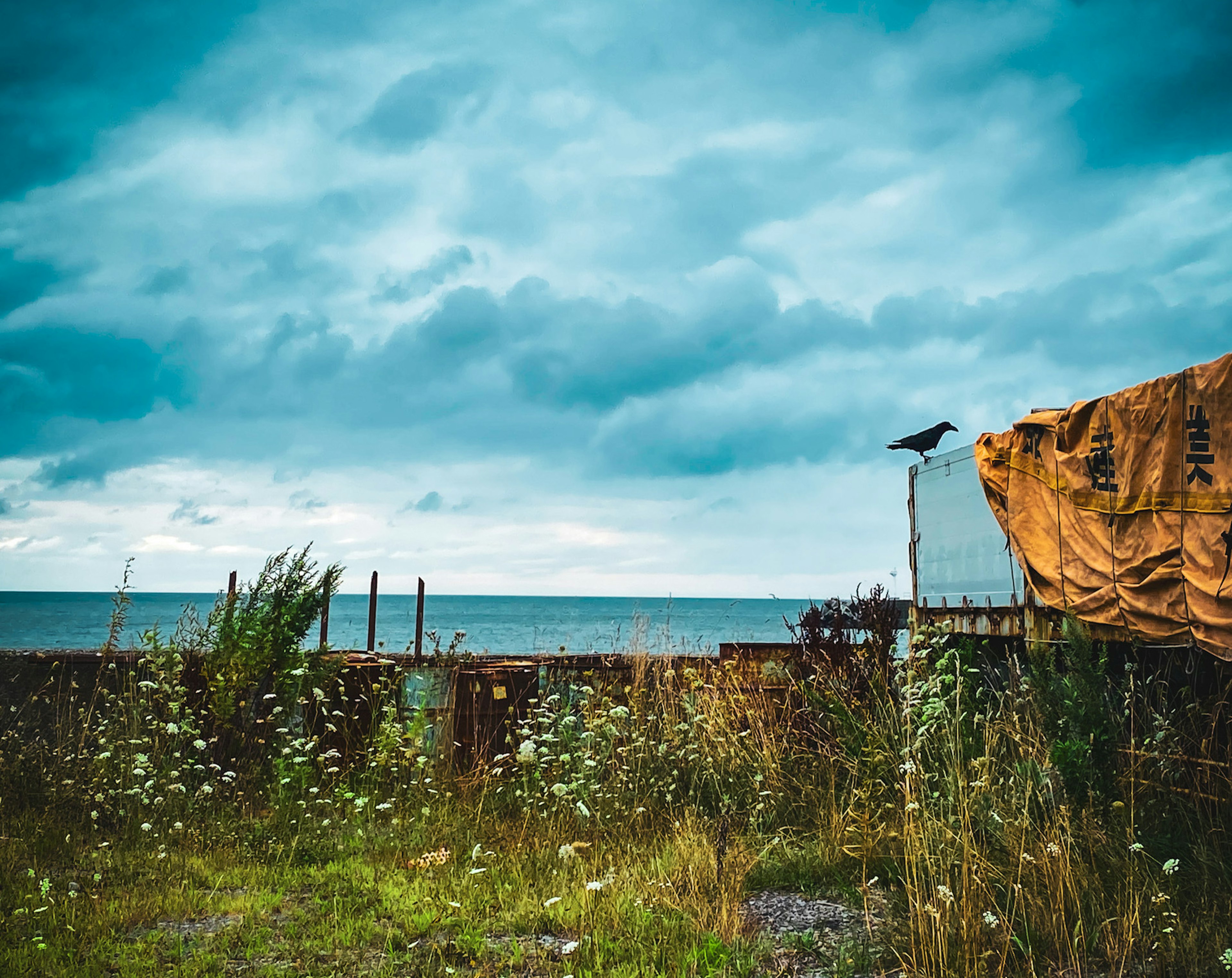 A bird perched on a post with a view of the sea and cloudy sky