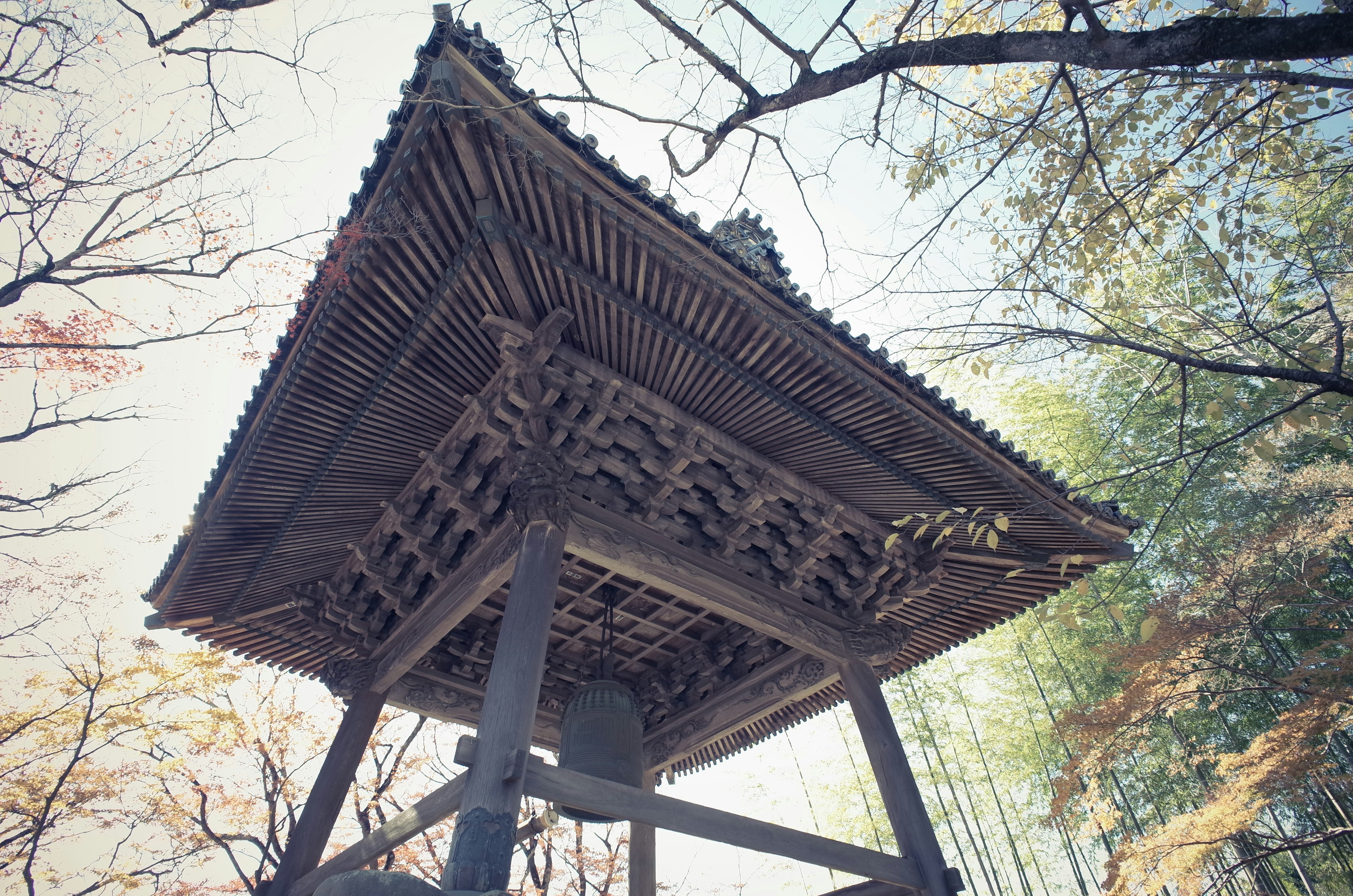 View of an old wooden bell tower from below surrounded by trees