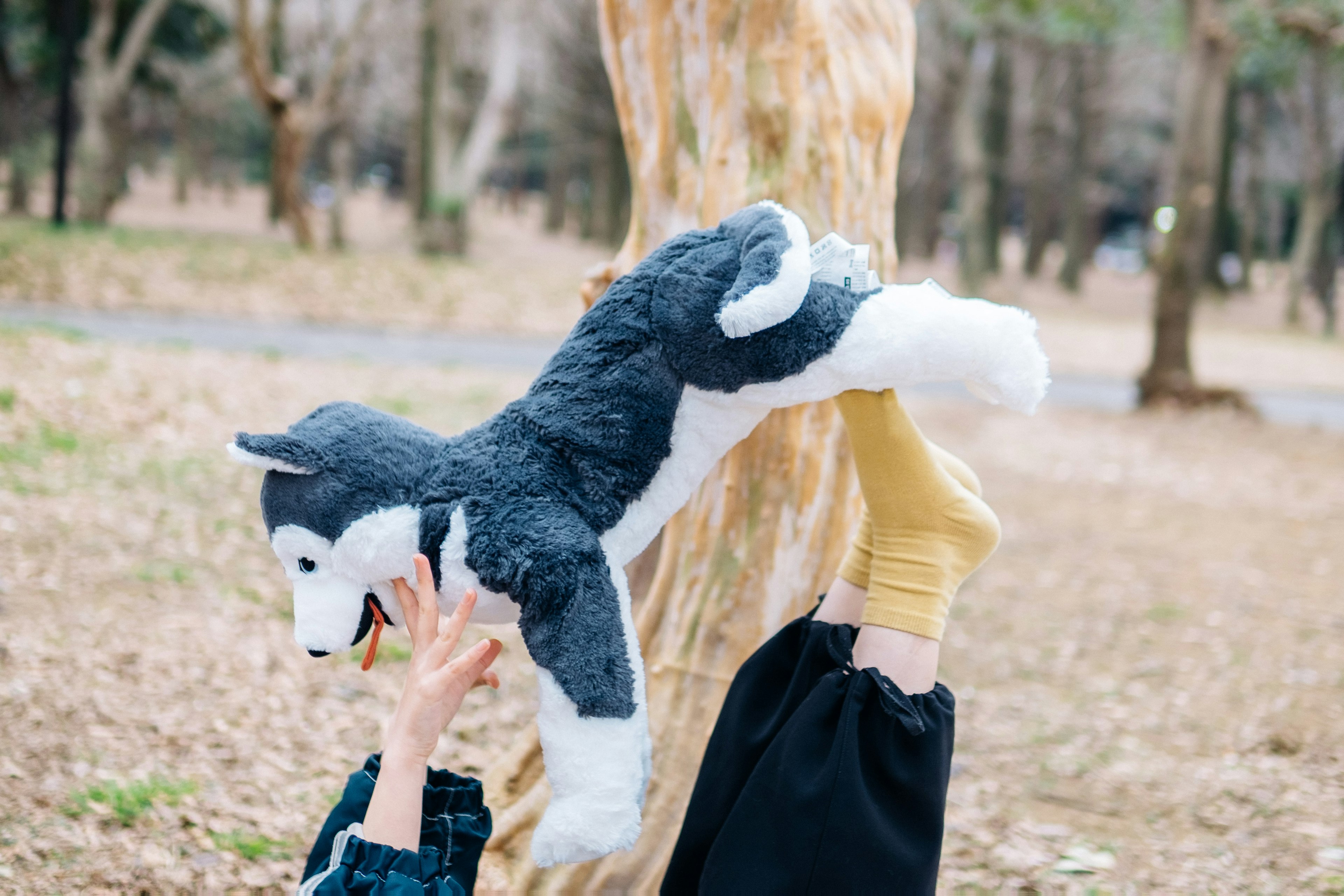 Manos de un niño levantando un perro husky de peluche cerca de un árbol