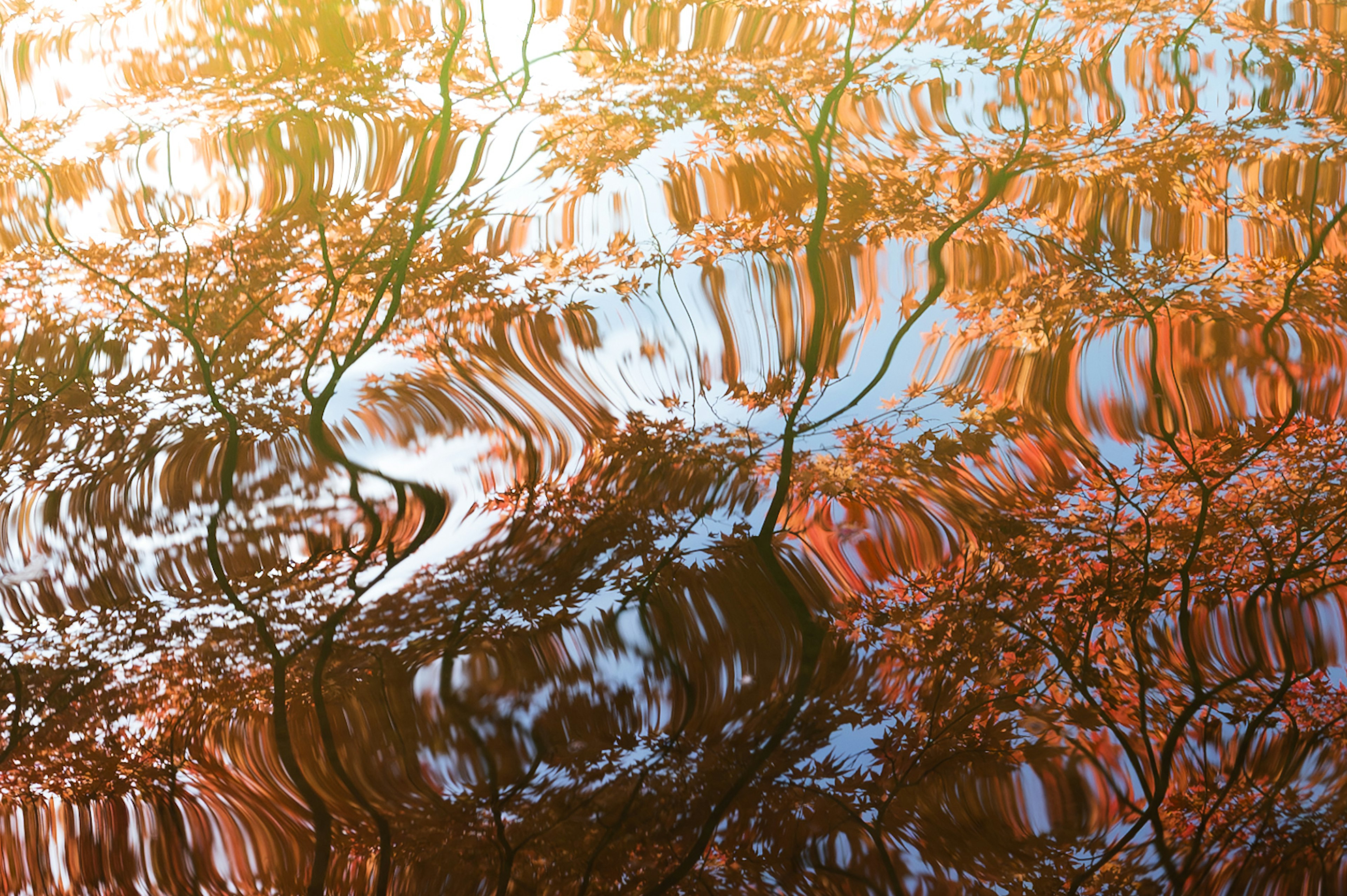 Reflejos de colores otoñales y ondas en la superficie del agua