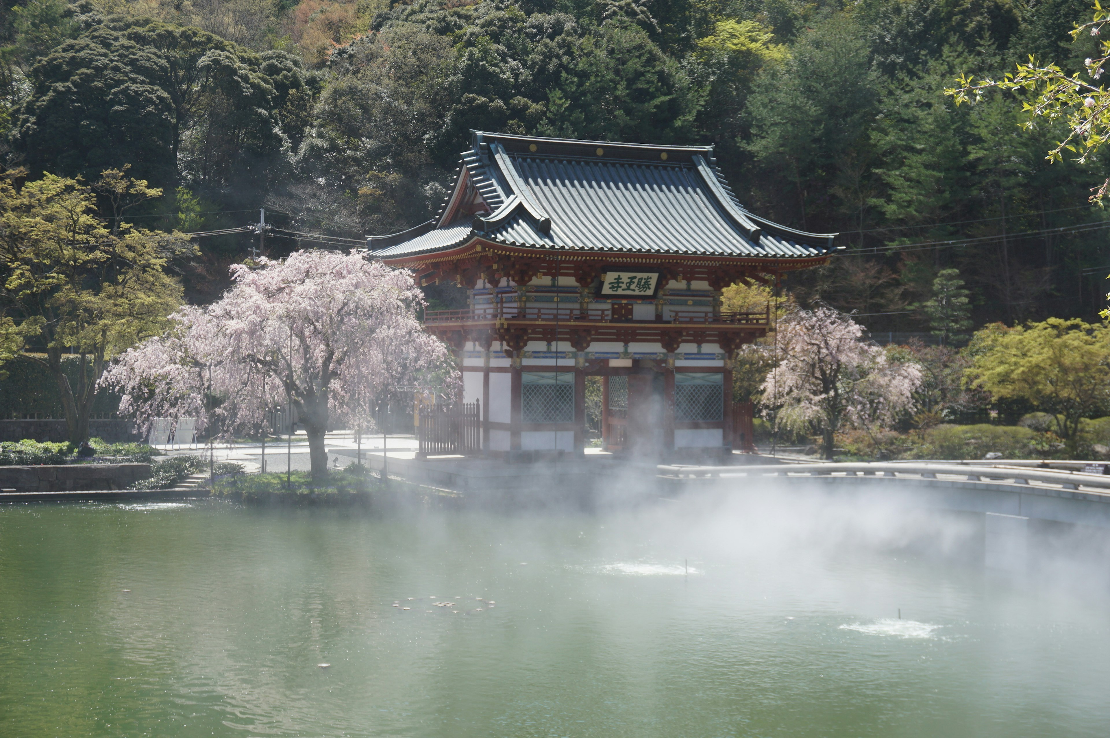 Traditionelles japanisches Gebäude an einem ruhigen Teich mit blühenden Kirschbäumen