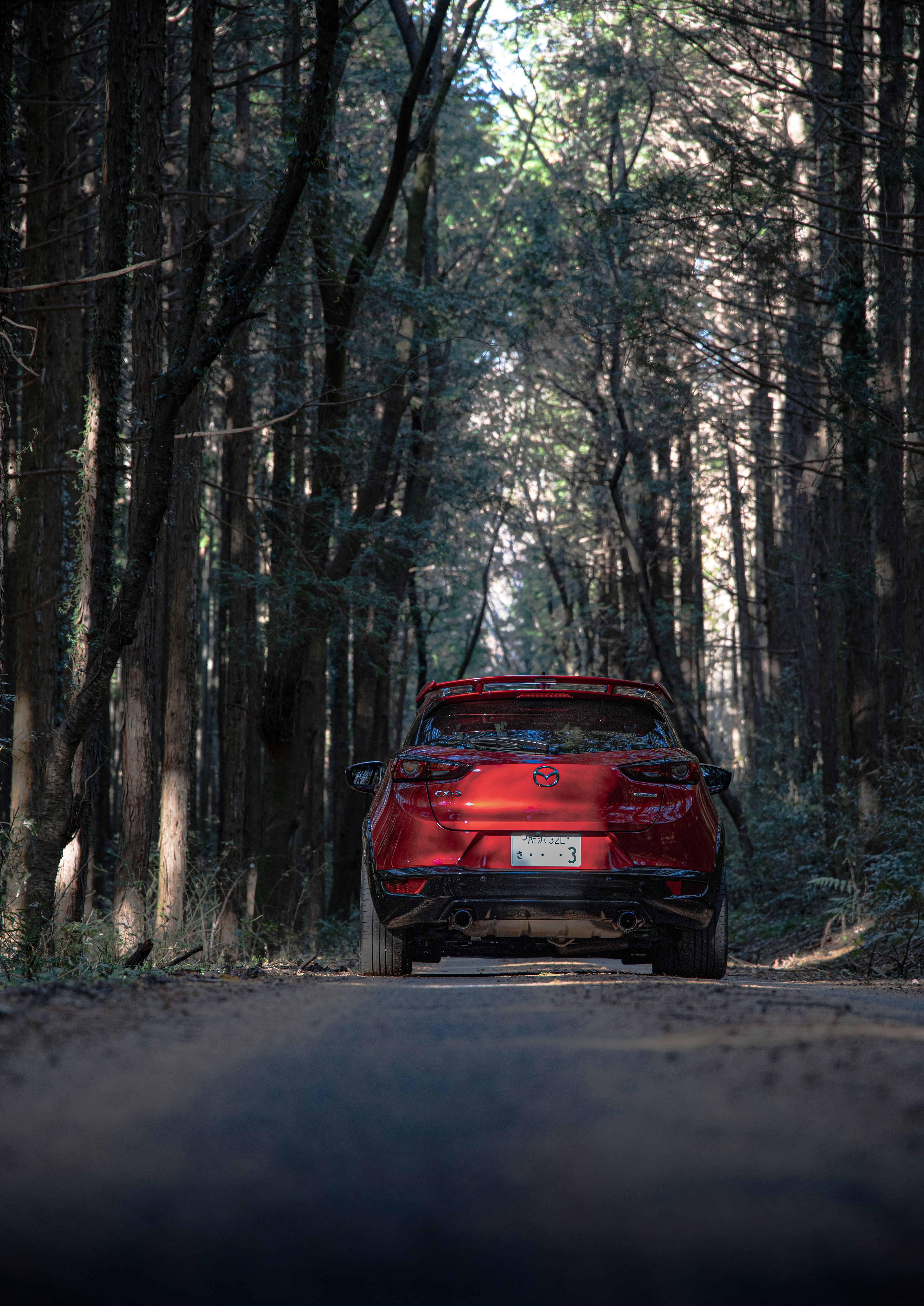 Auto rossa su una strada forestale circondata da alberi alti