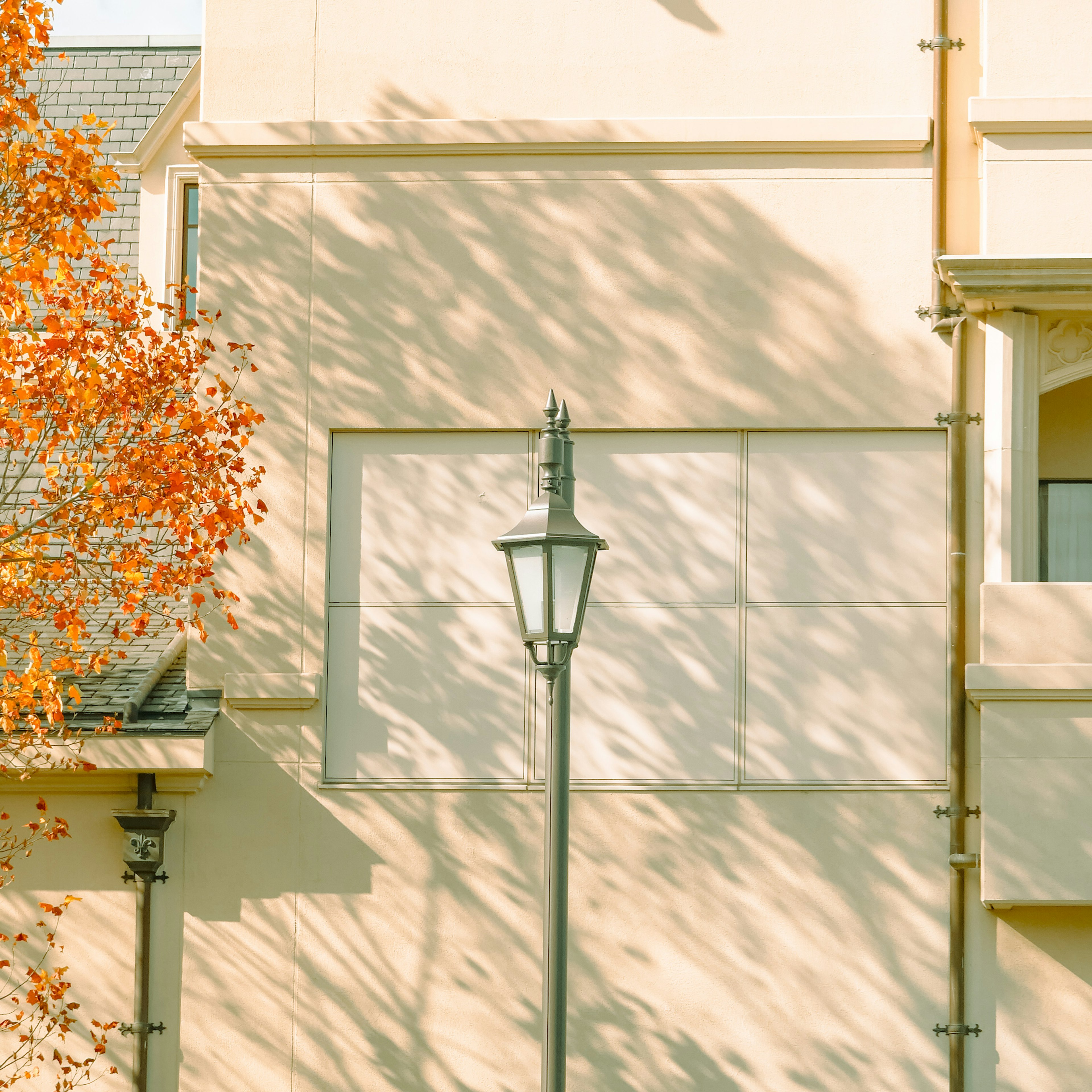 Street lamp standing against a pale wall with autumn leaves and shadows