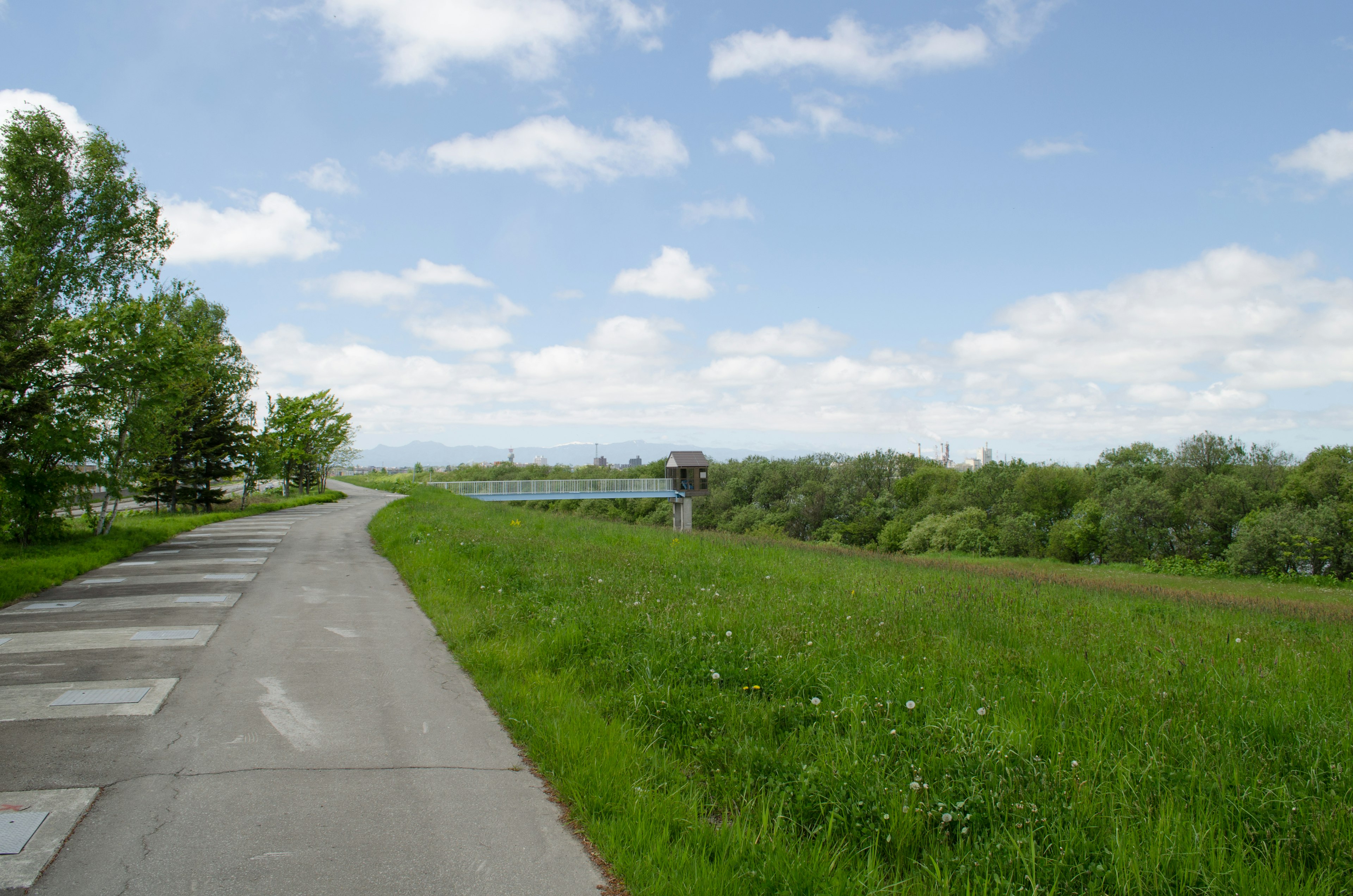 Pflasterweg entlang von üppigem grünem Gras und Bäumen unter einem blauen Himmel mit Wolken