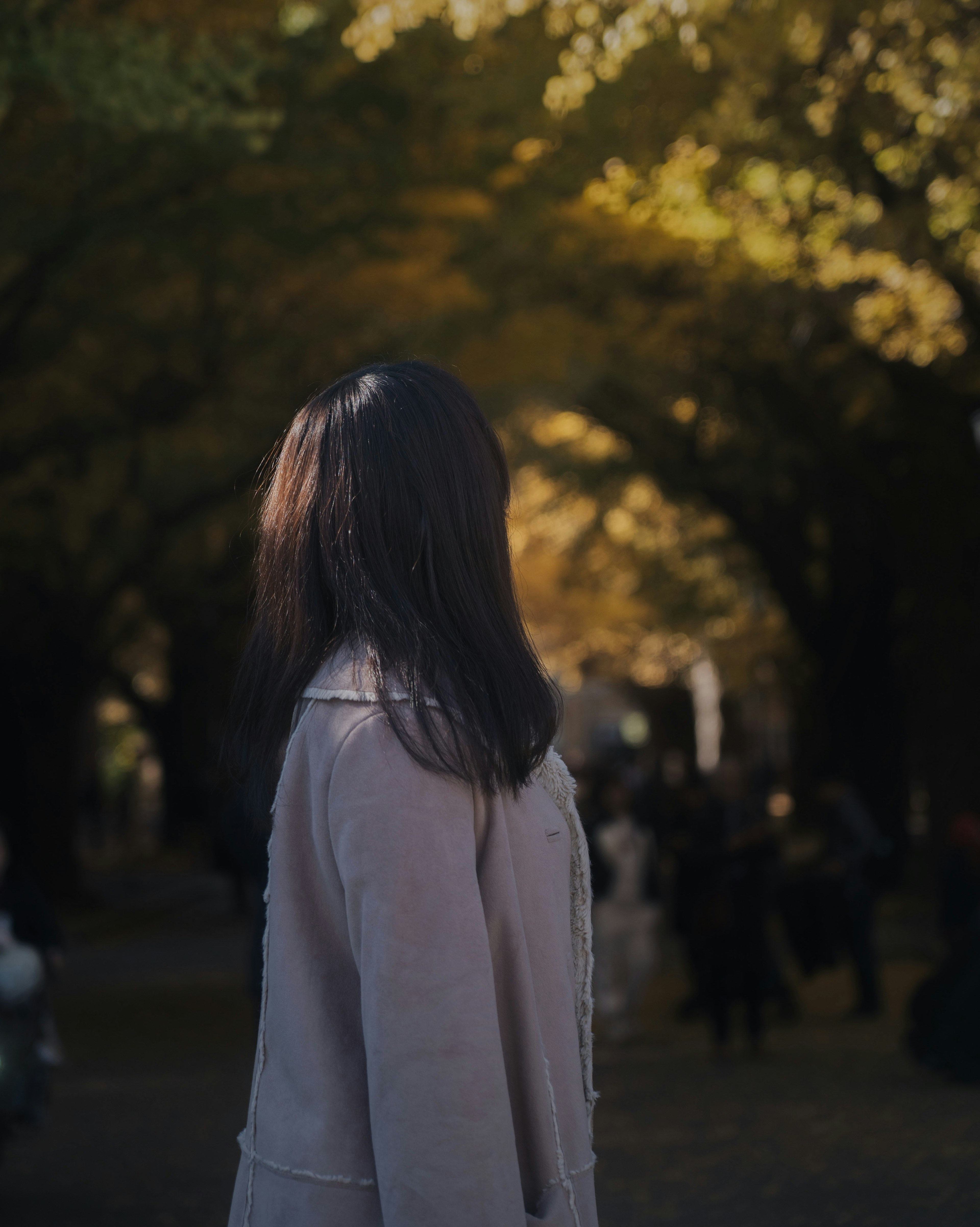 Femme se tenant sous des arbres d'automne regardant en arrière