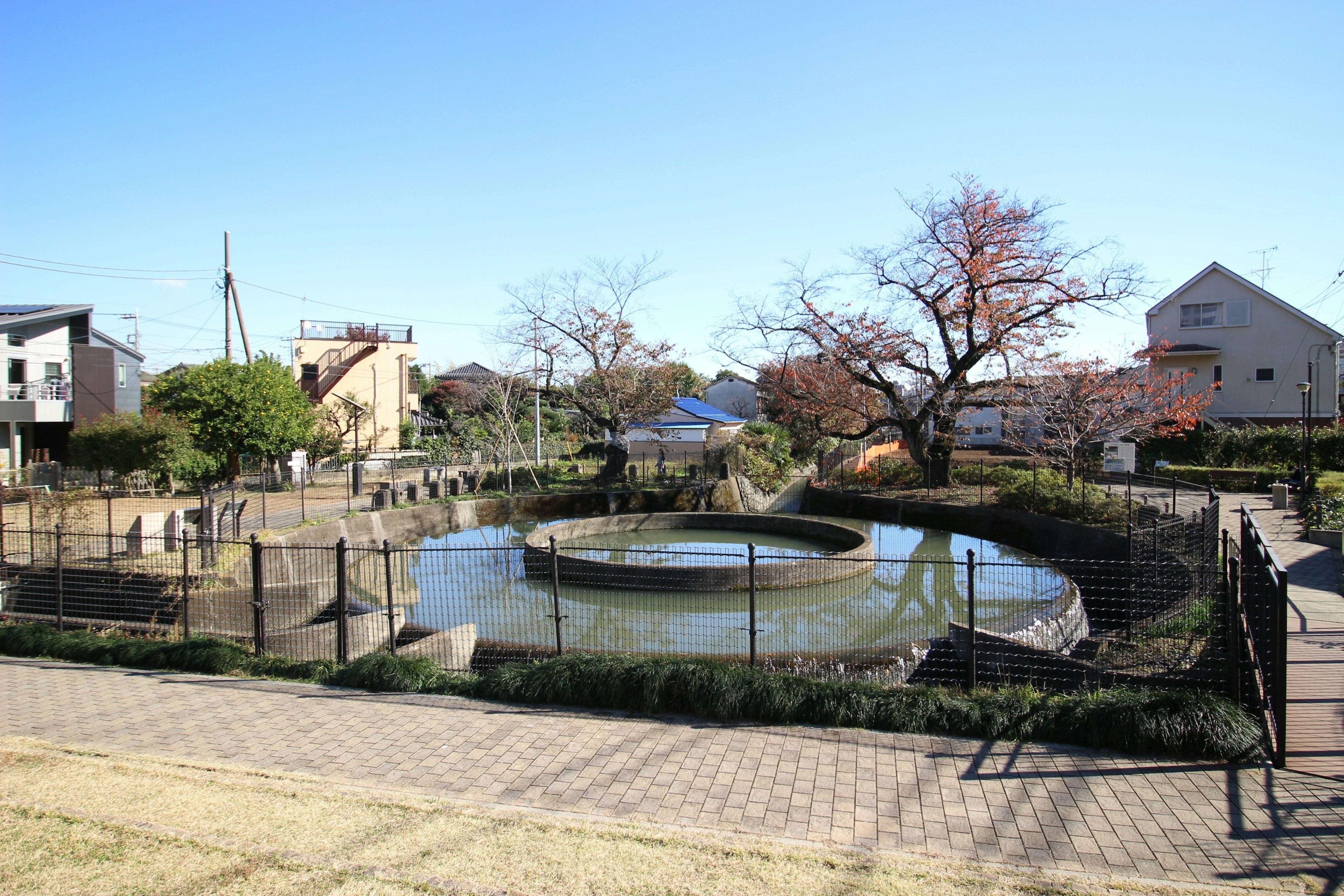 Park pond surrounded by greenery and houses