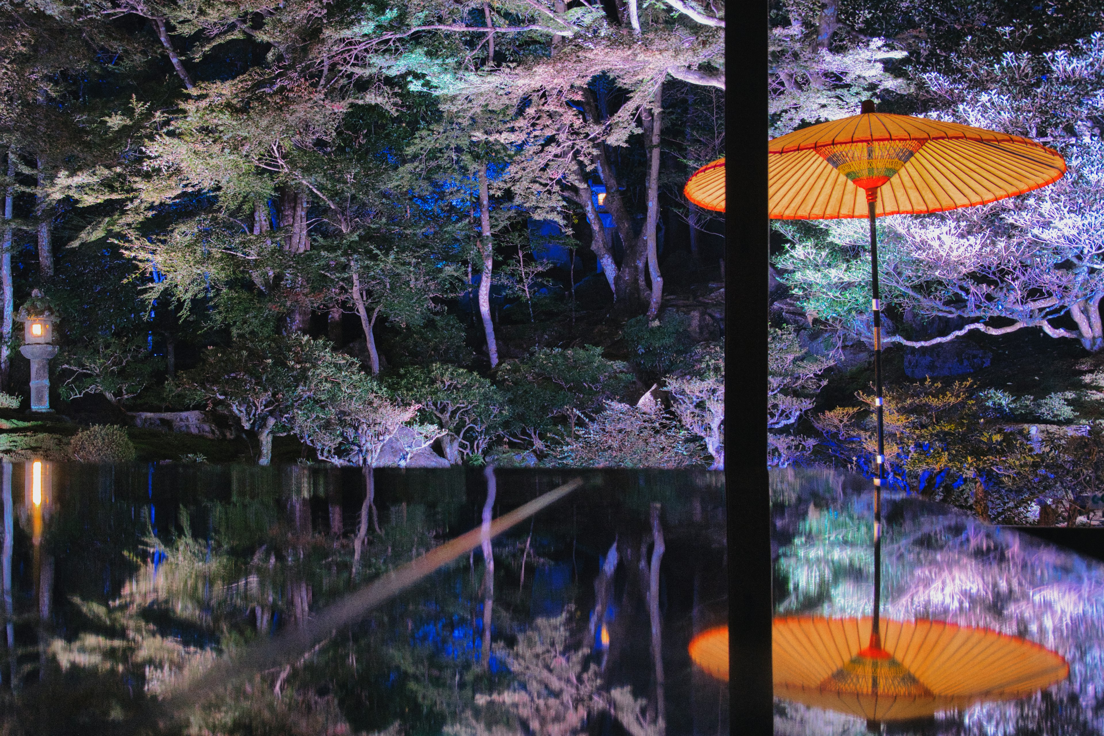 Paraguas naranja en un jardín nocturno reflejándose en el agua