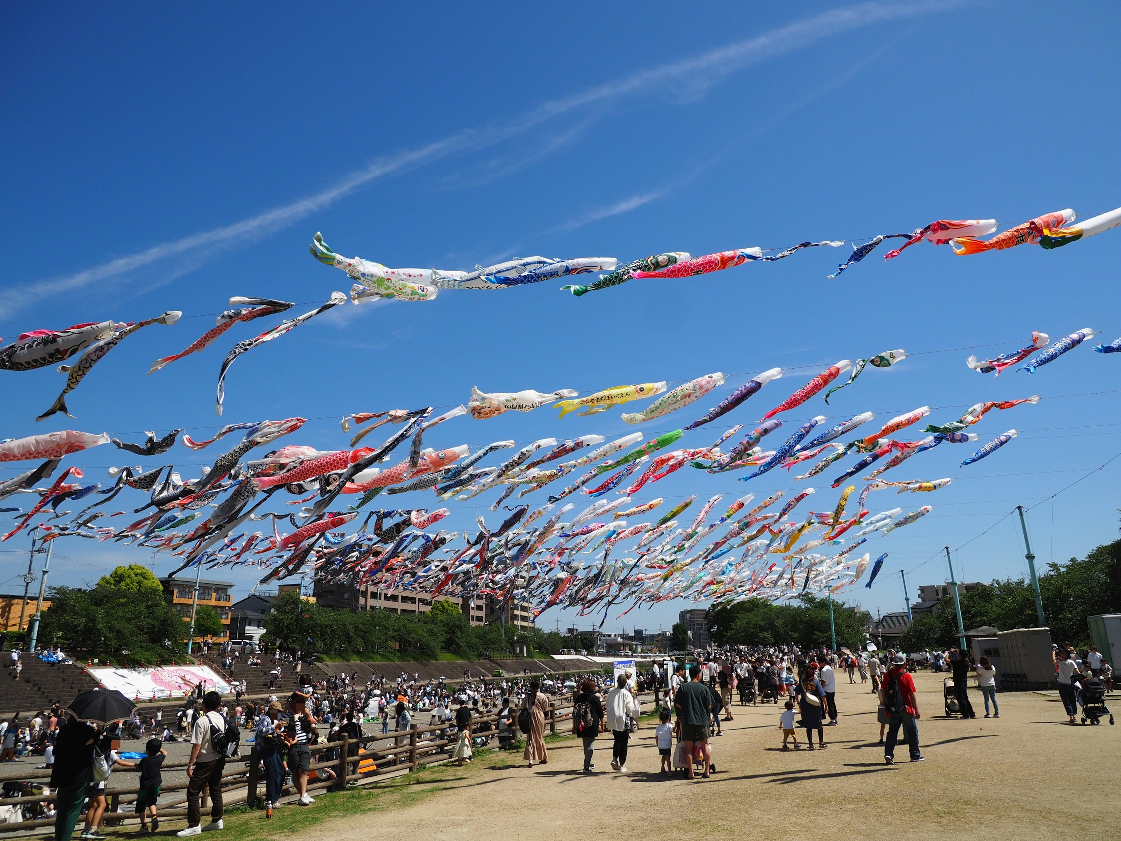 Festivalszene mit bunten Koi-Nobori-Flaggen unter blauem Himmel